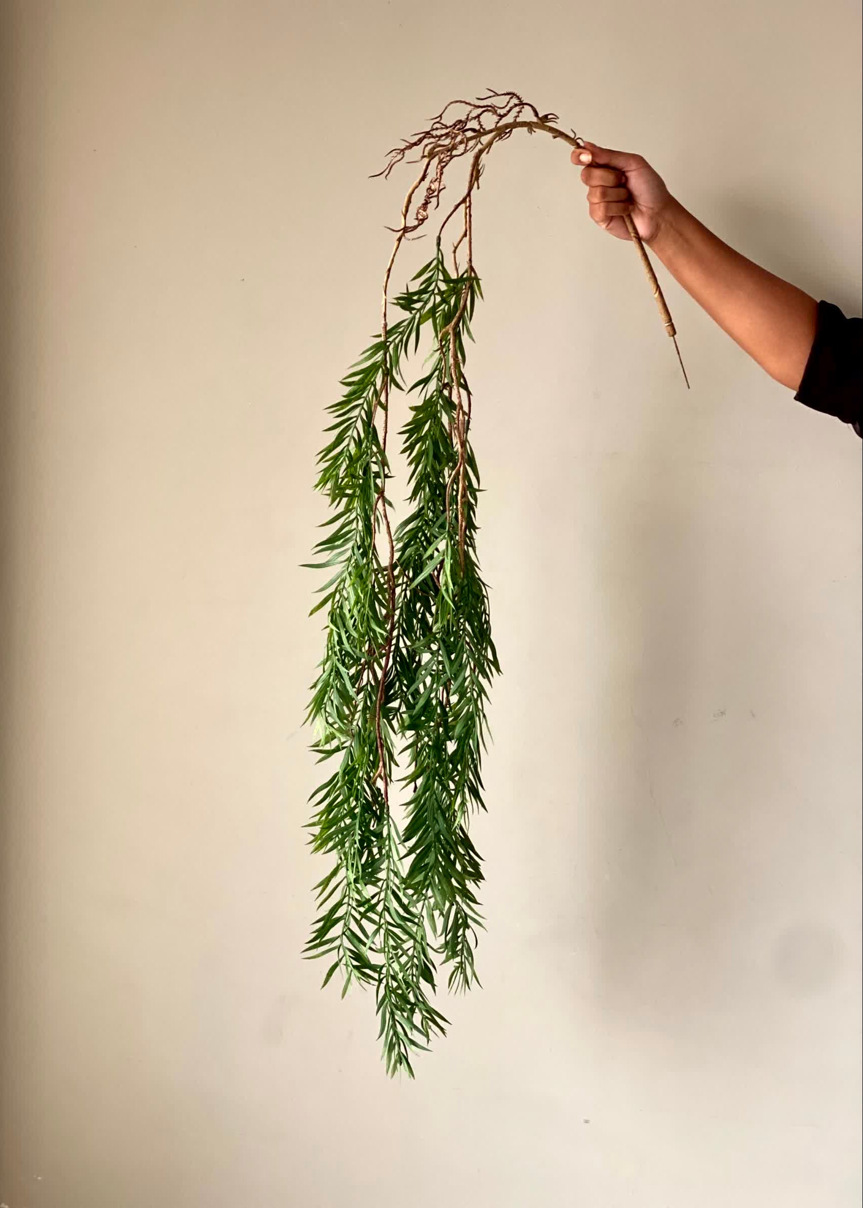 Artificial Thornfall Creeper - Medium