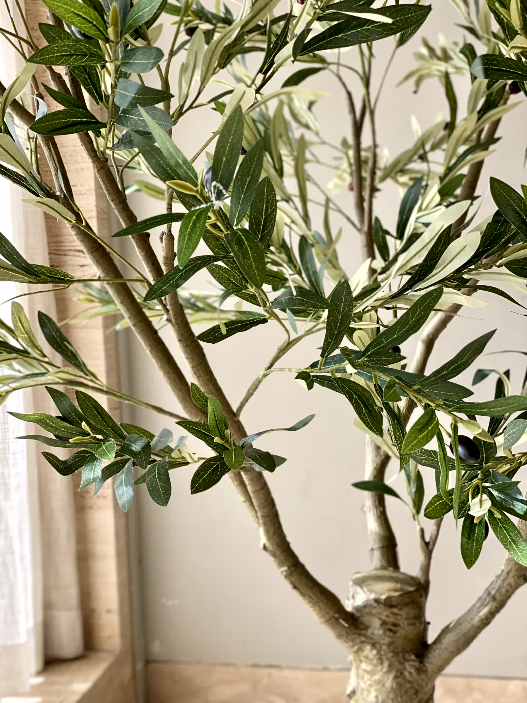 Artificial Mediterria Olive Statement Plant - 6 Feet