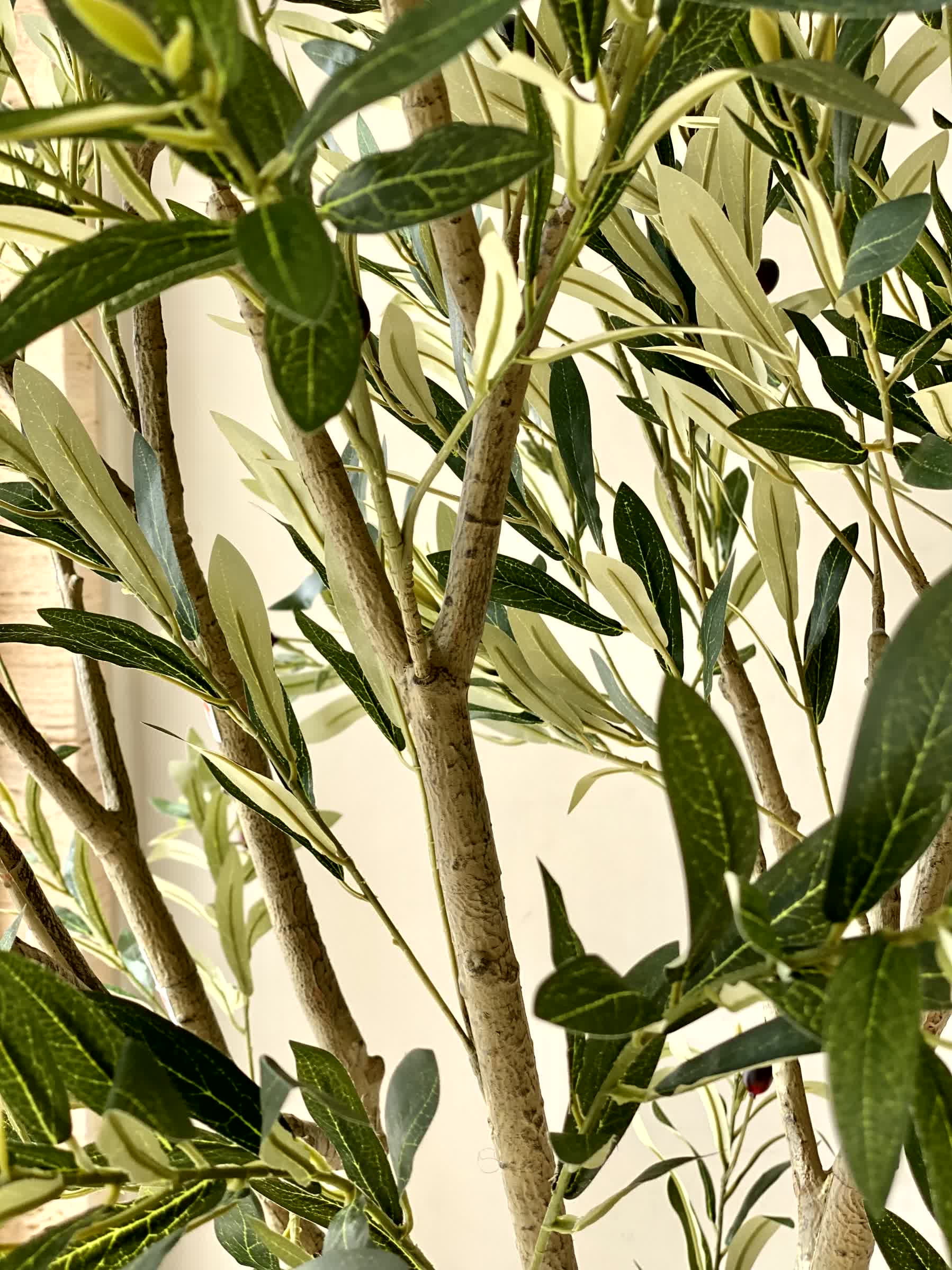 Artificial Mediterria Olive Statement Plant - 7 Feet