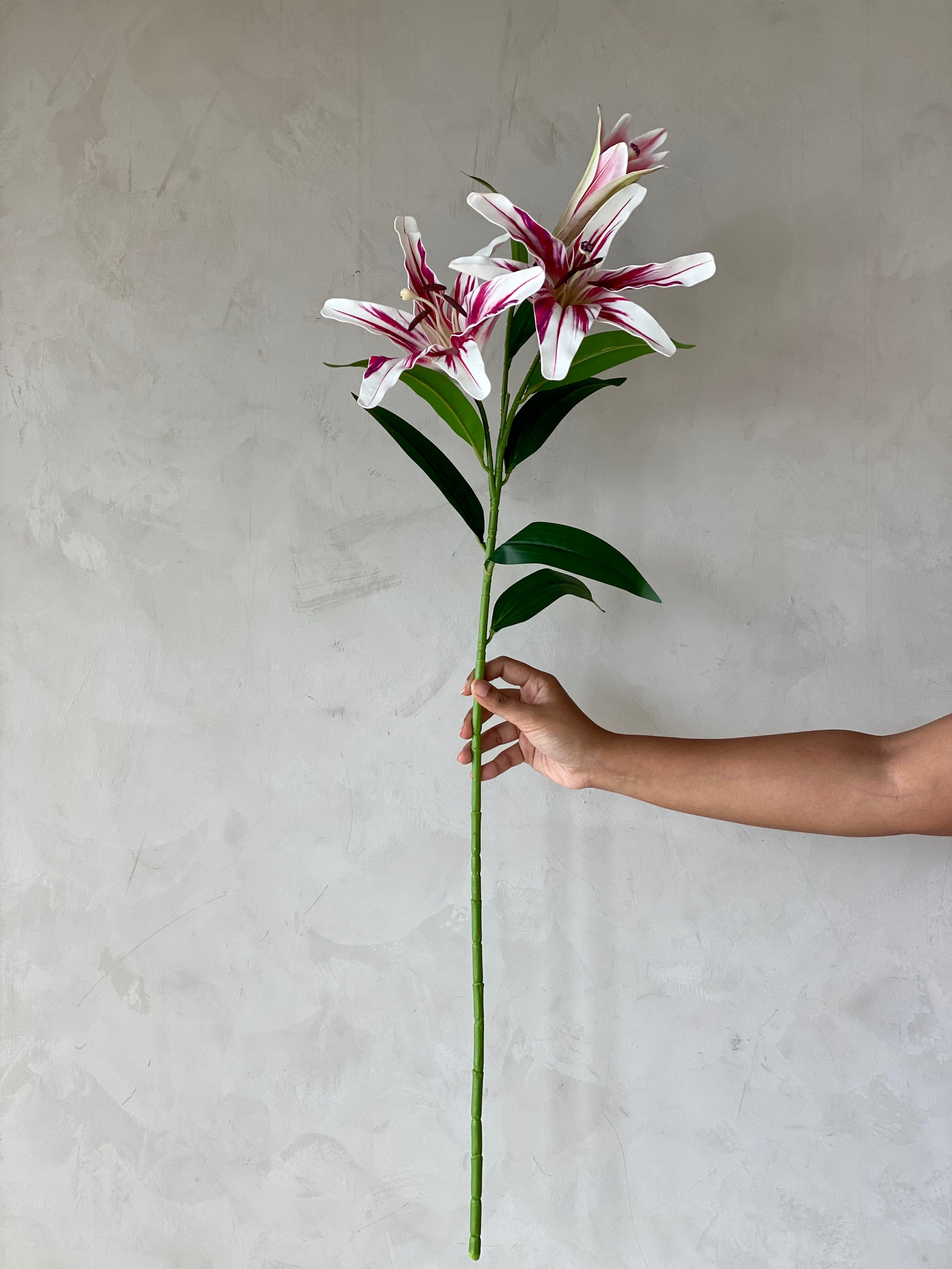 Artificial Canna Flower Stem - One Stem
