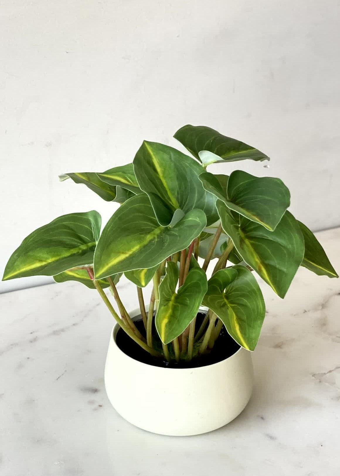 Artificial Green Calathea Foliage Plant