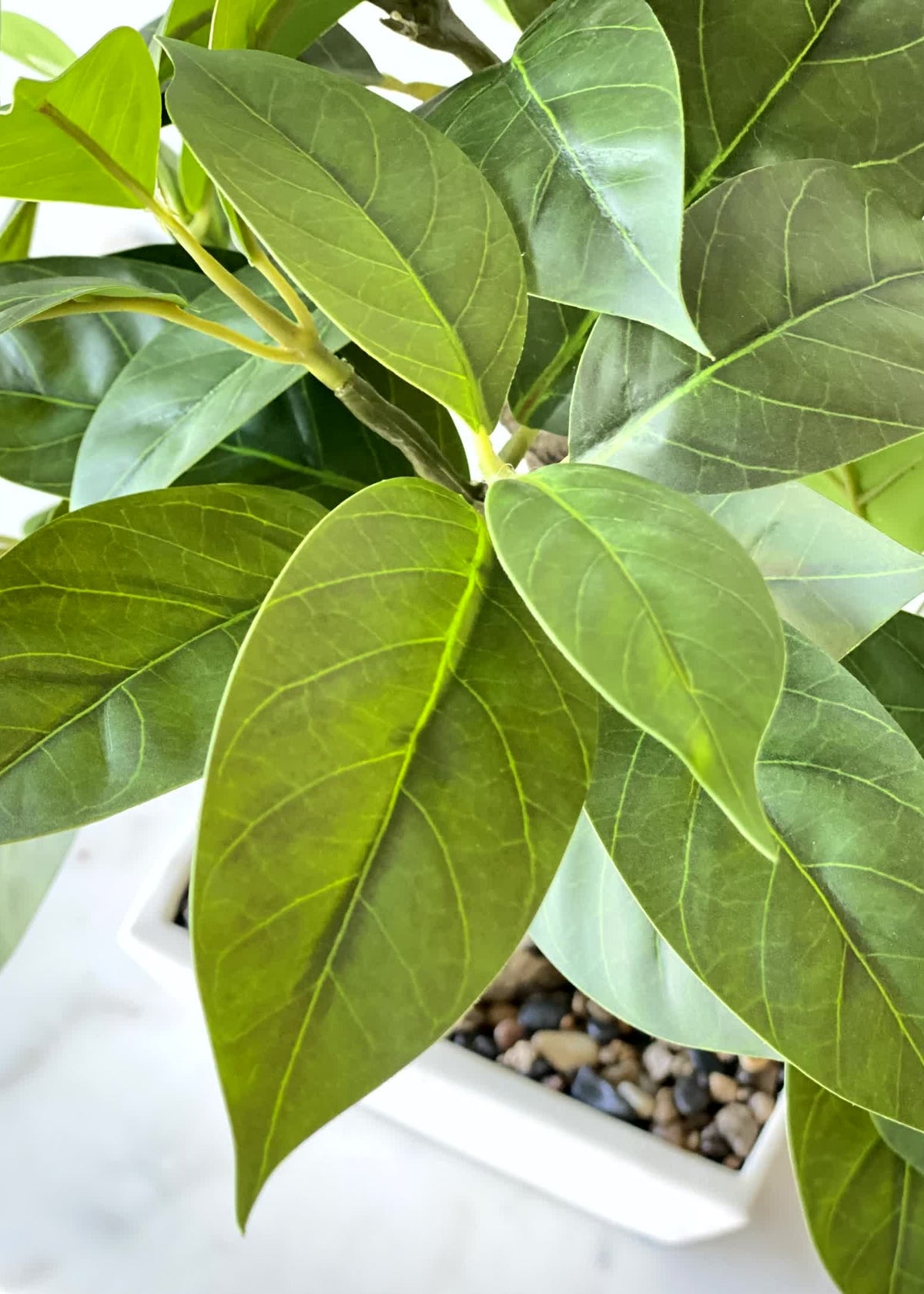 Artificial Jade Leaf Bonsai Plant