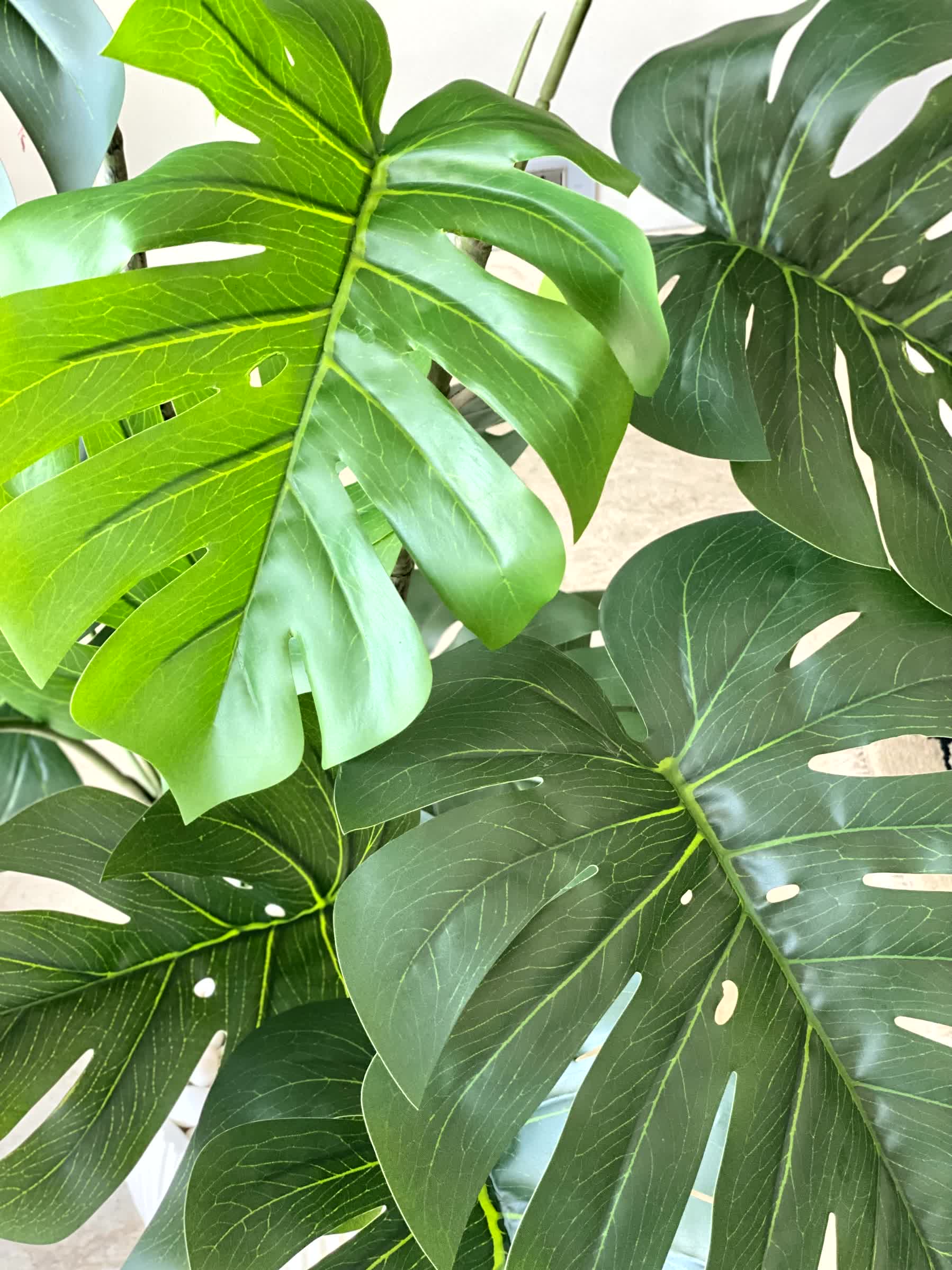 Artificial Arched Monstera Plant - 4 Feet