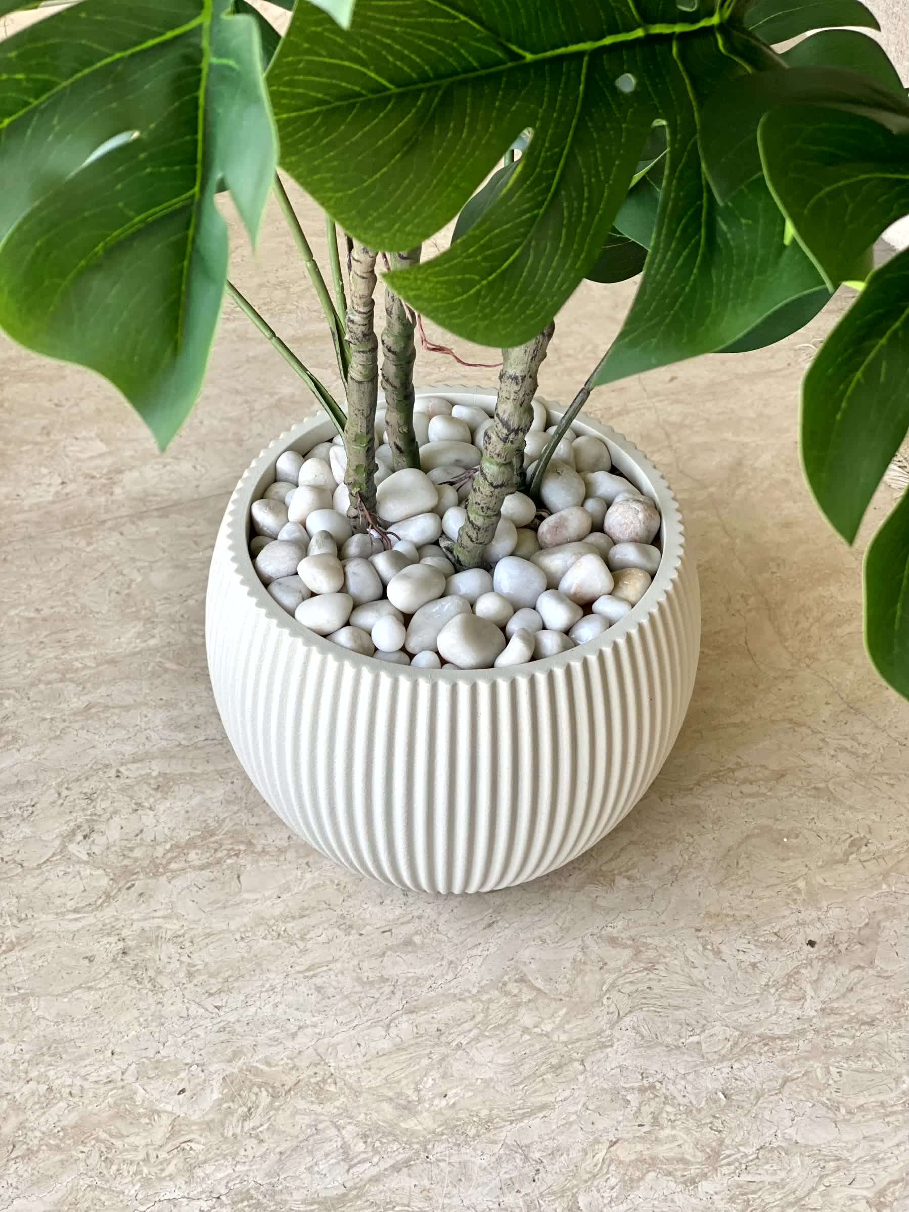 Vellora Planters - Ivory