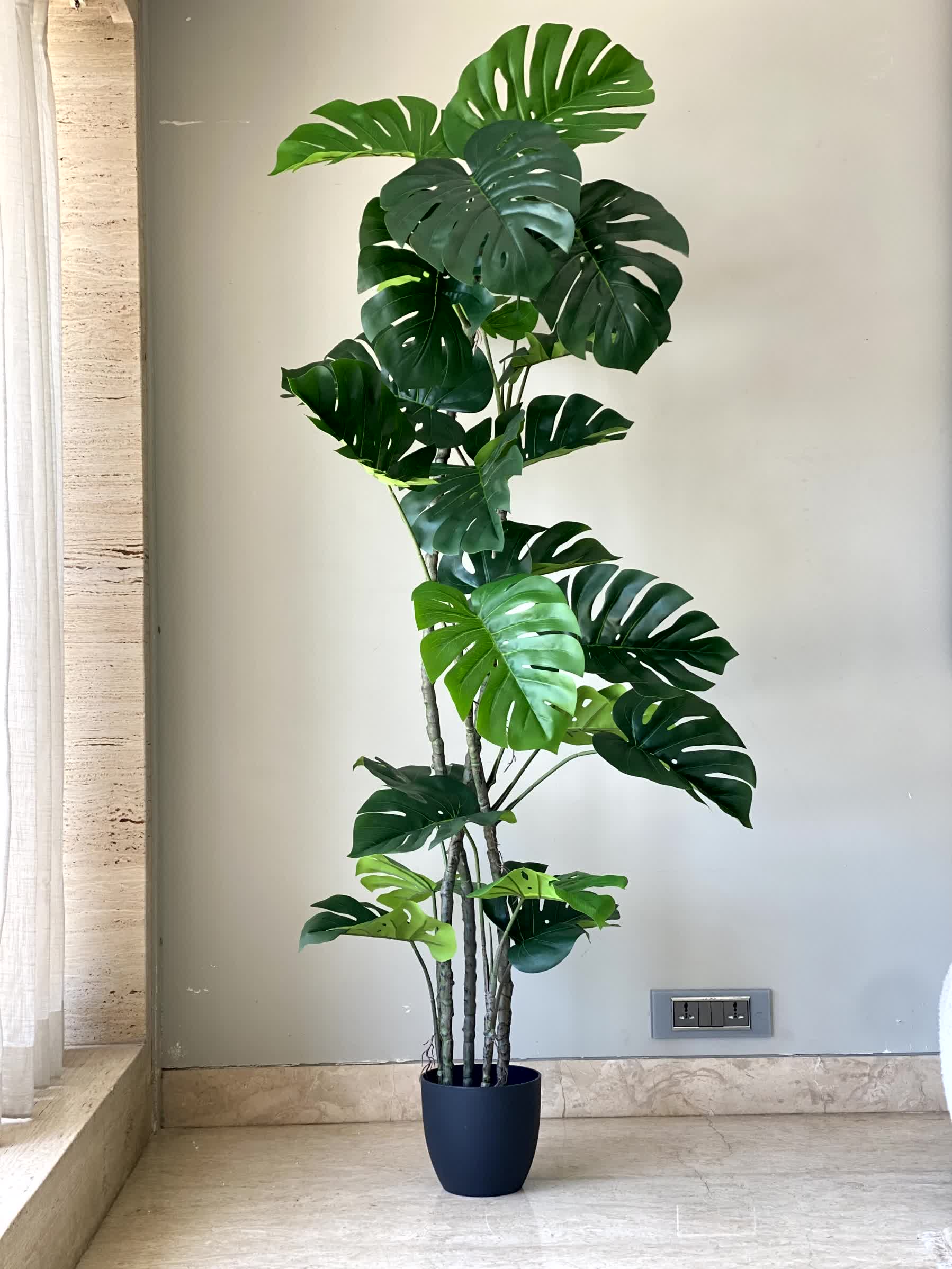 Artificial Arched Monstera Plant - 5 Feet