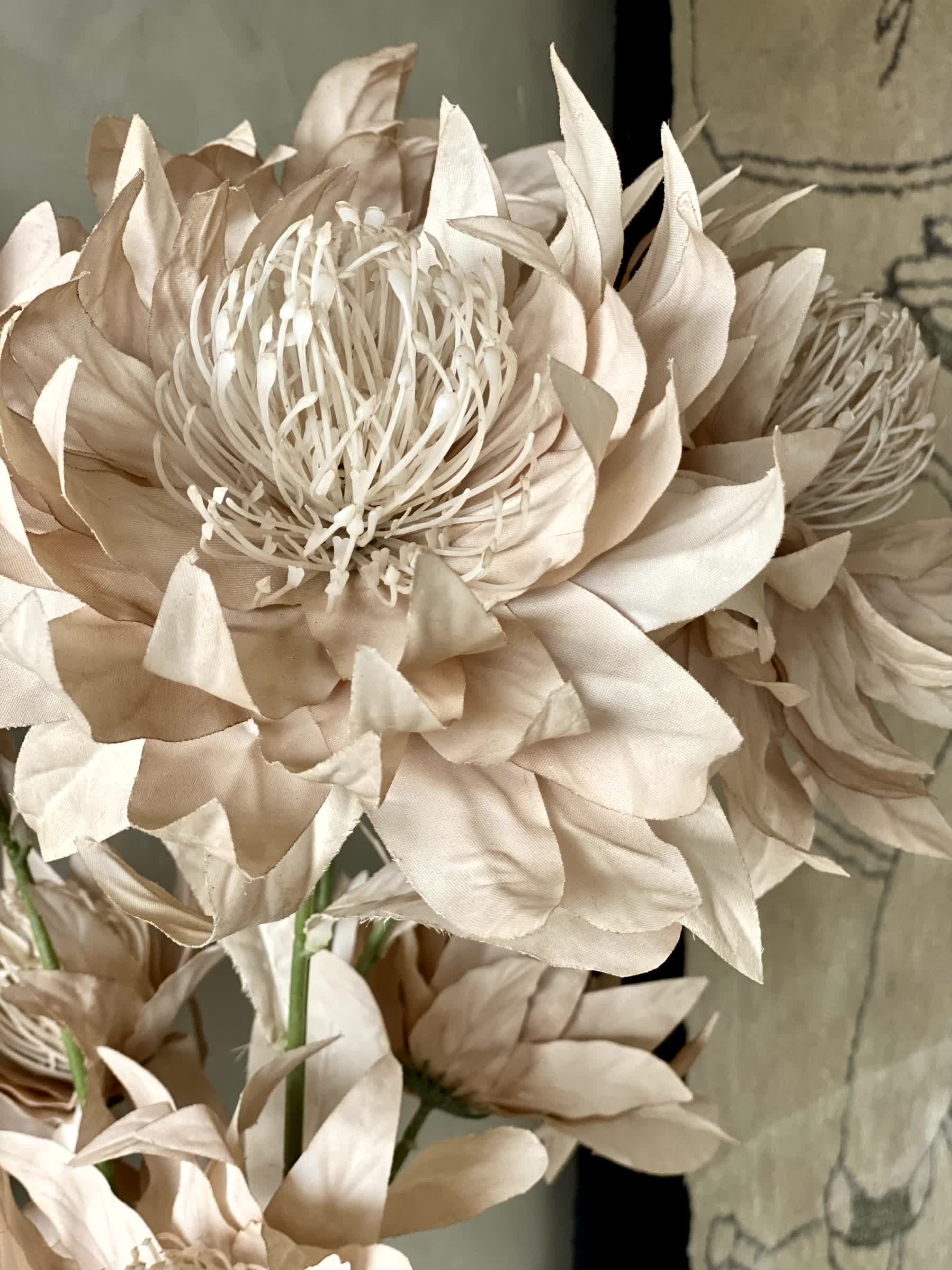 Artificial Portea Flower Stem - (One Stem) Beige