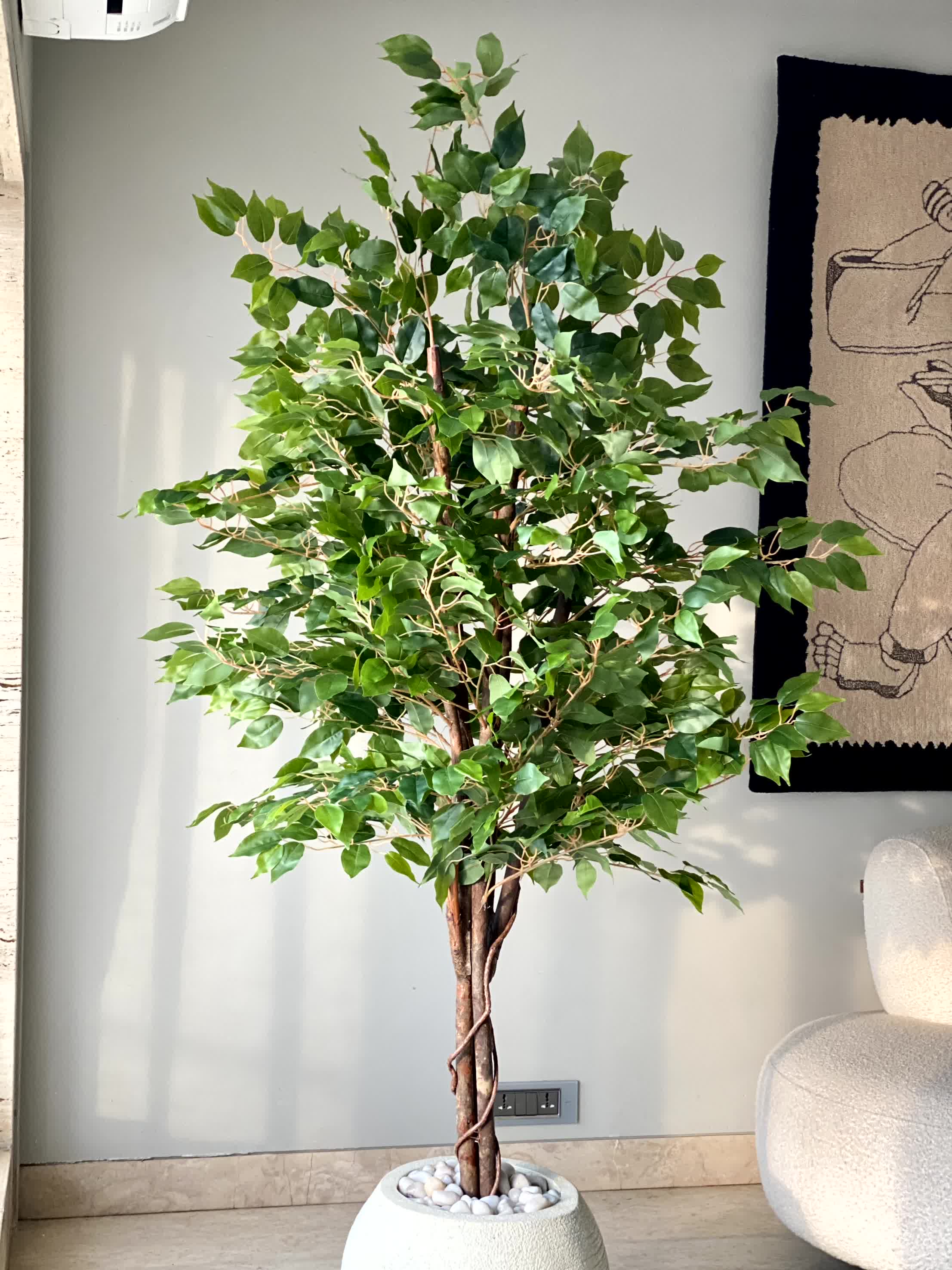 Artificial Natural Trunk Ficus Plant - 6.5 Feet