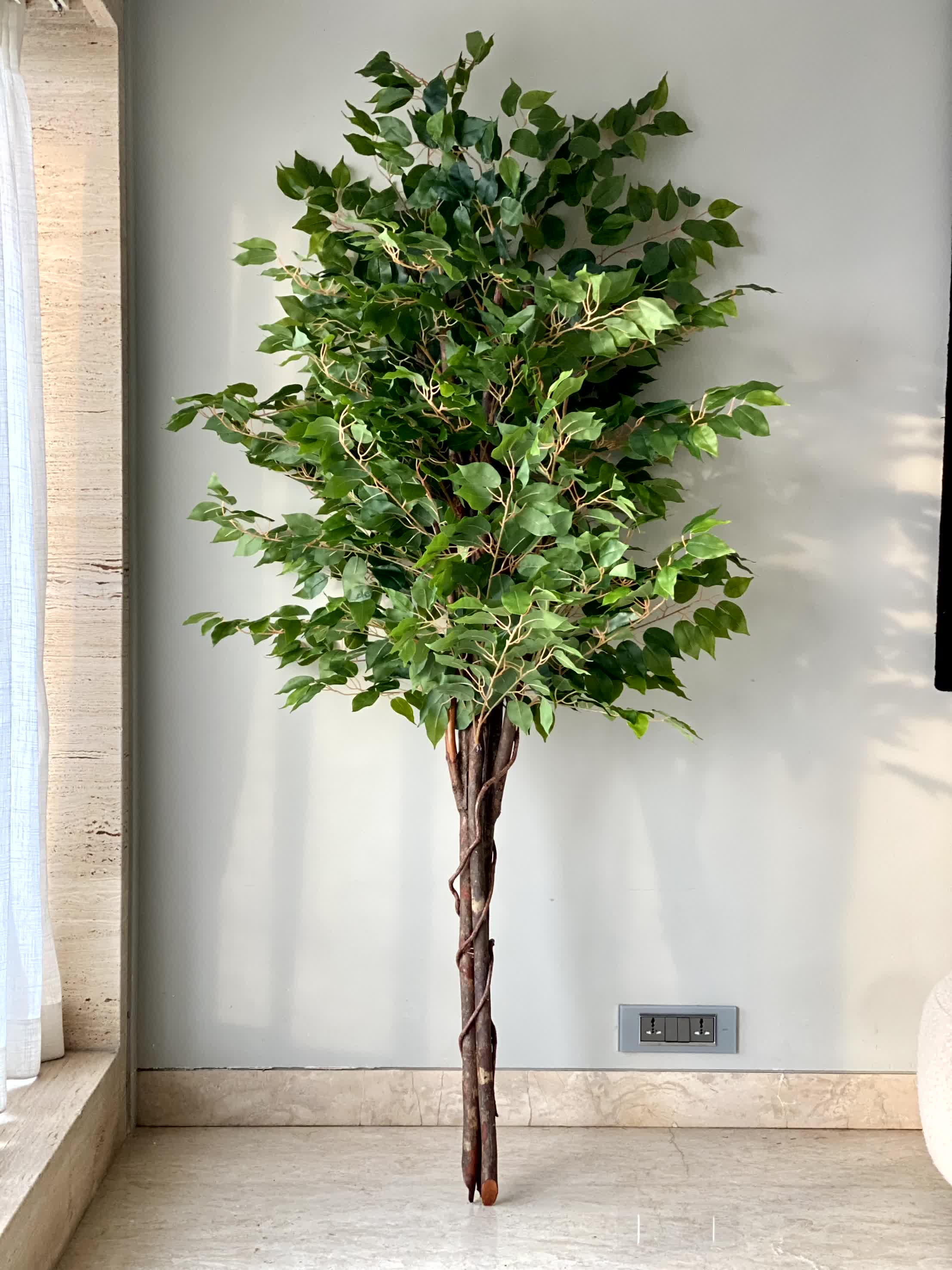 Artificial Natural Trunk Ficus Plant - 6.5 Feet