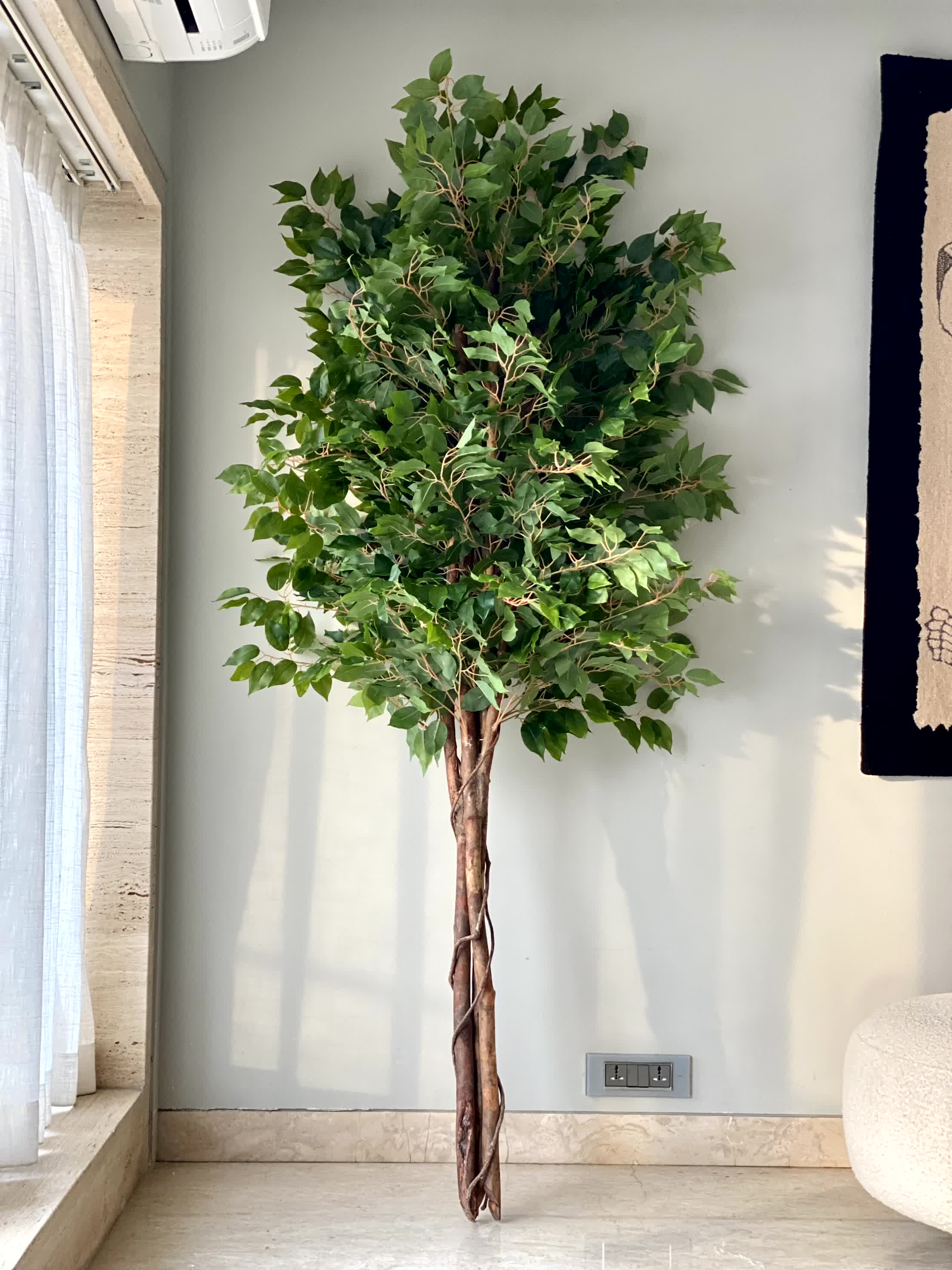 Artificial Natural Trunk Ficus Plant - 7.5 Feet