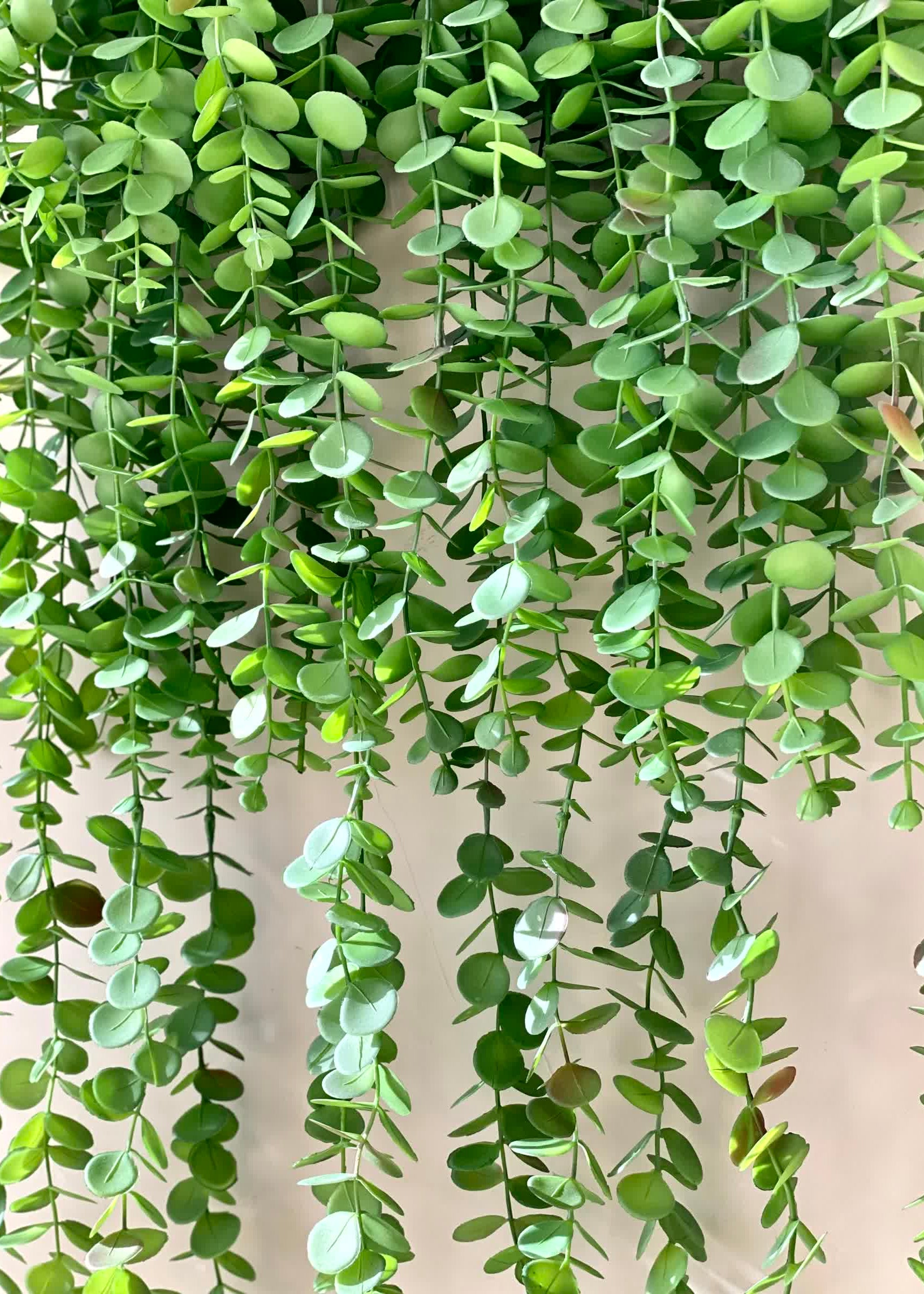 Artificial Eucalyptus Creeper Hanging (Single Piece)