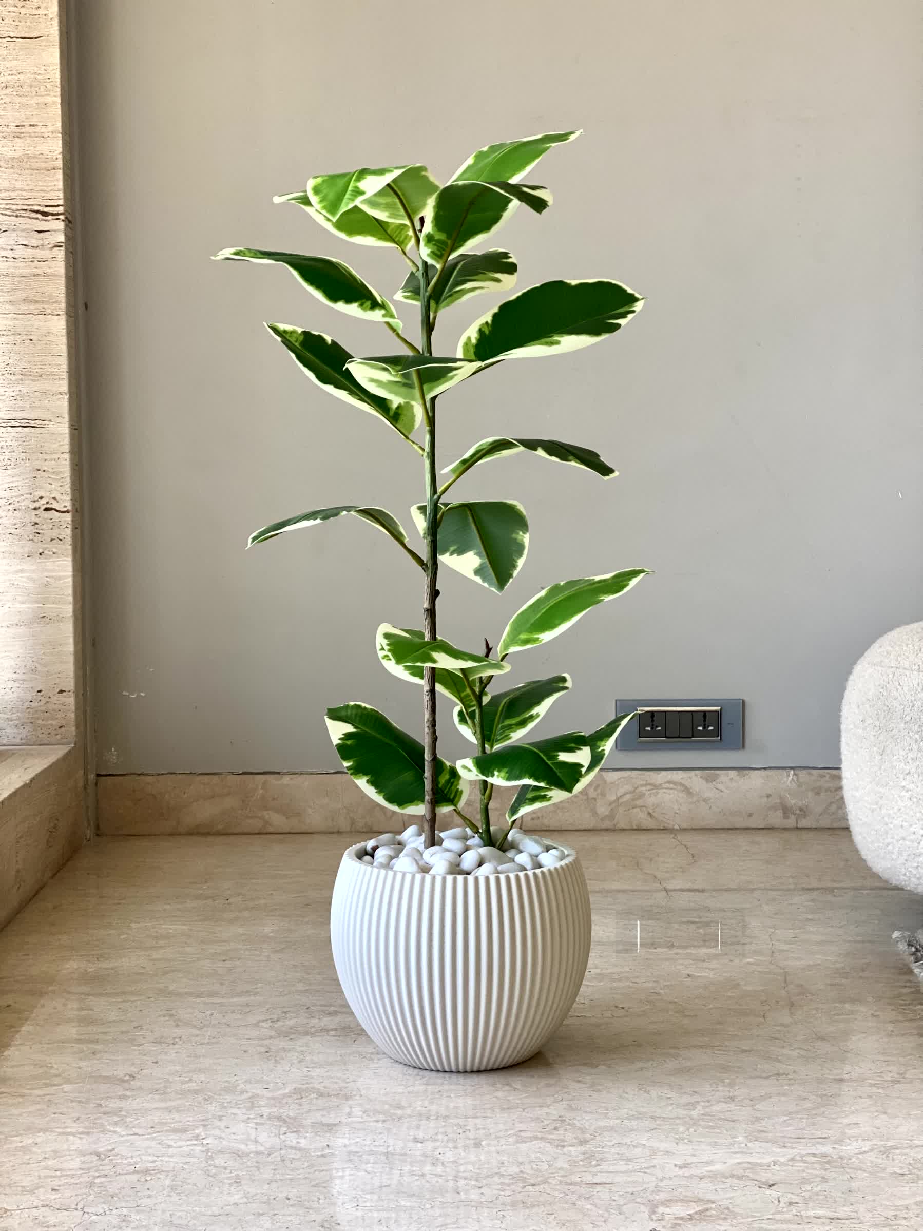 Vellora Planters - Ivory