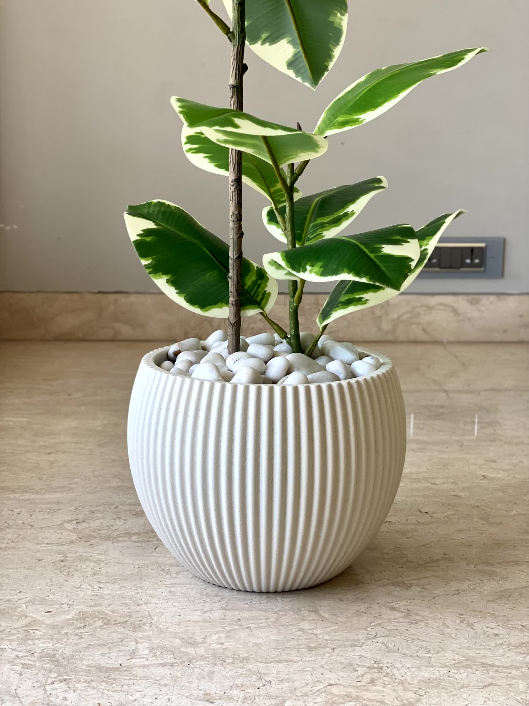 Vellora Planters - Ivory