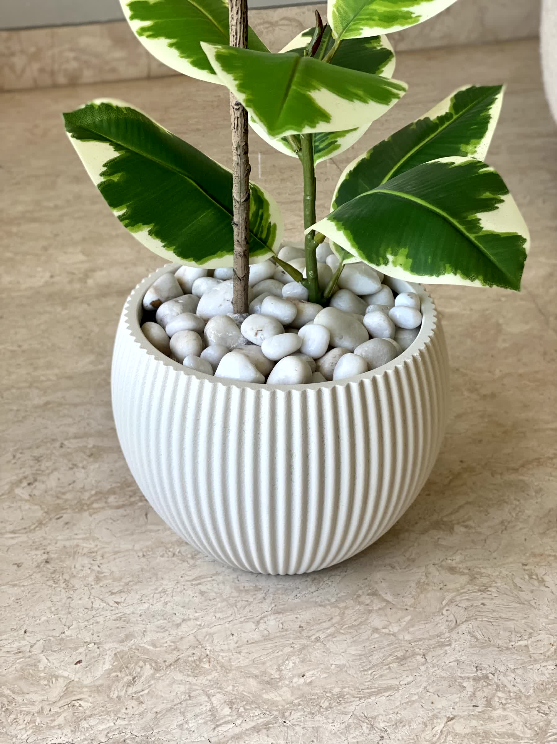 Vellora Planters - Ivory
