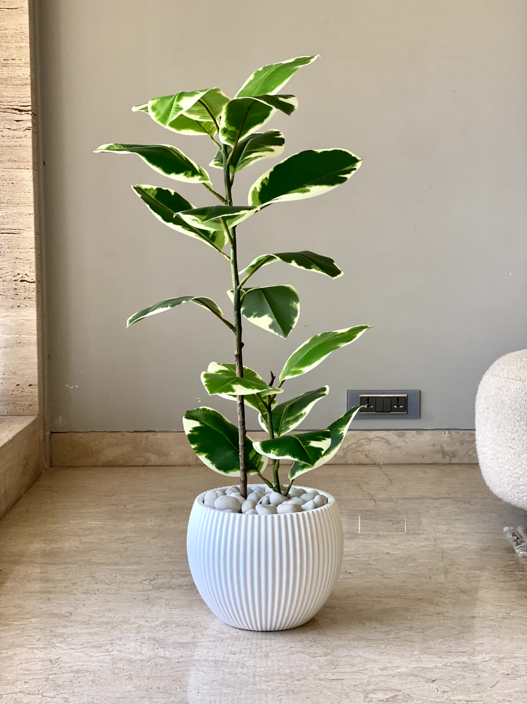 Vellora Planters - White