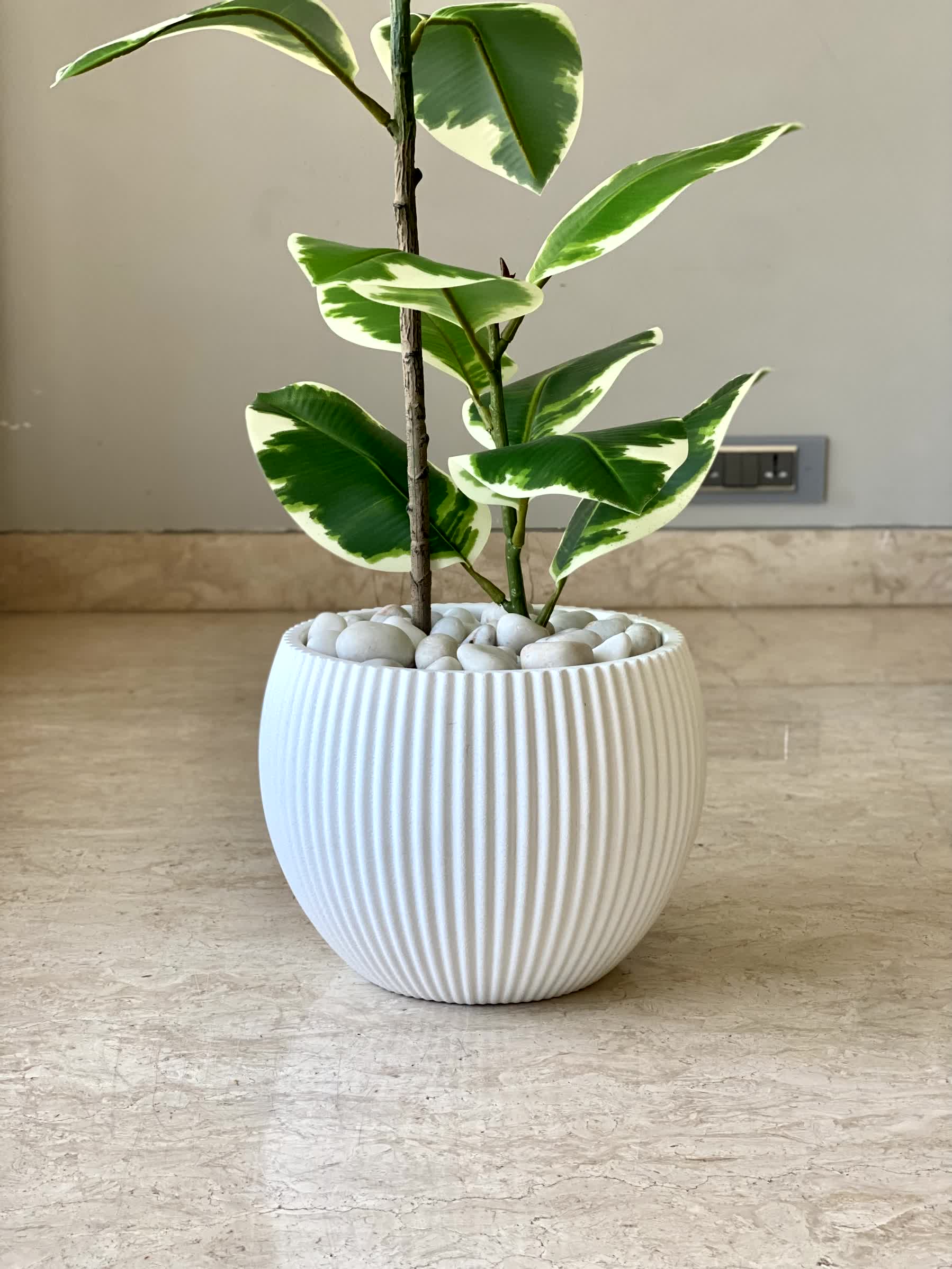 Vellora Planters - White