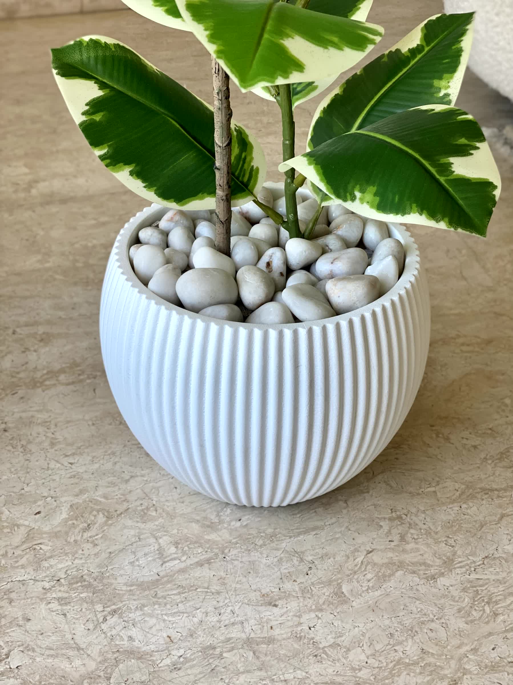 Vellora Planters - White