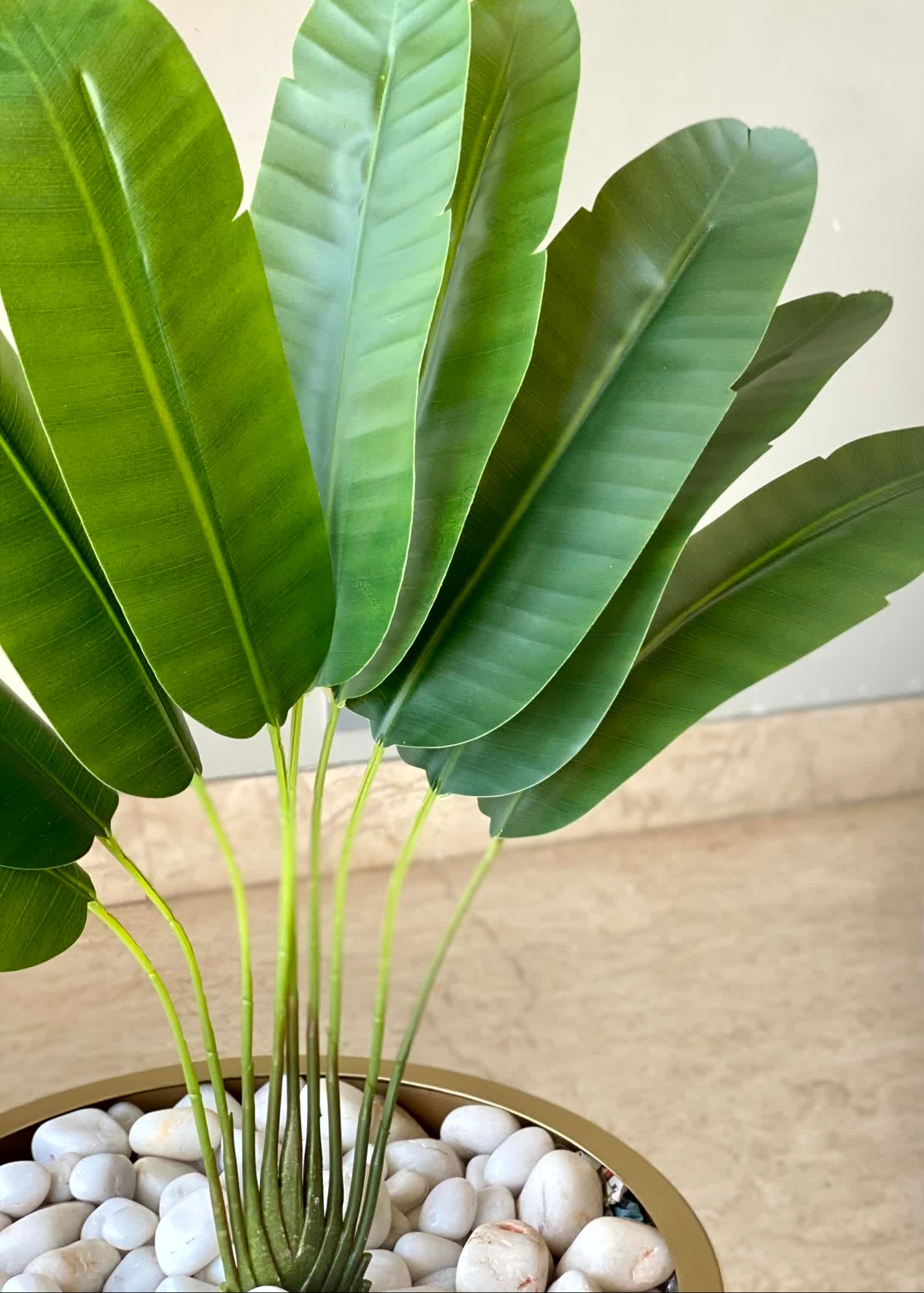 Artificial Slim Travellers Plant - 2 Feet