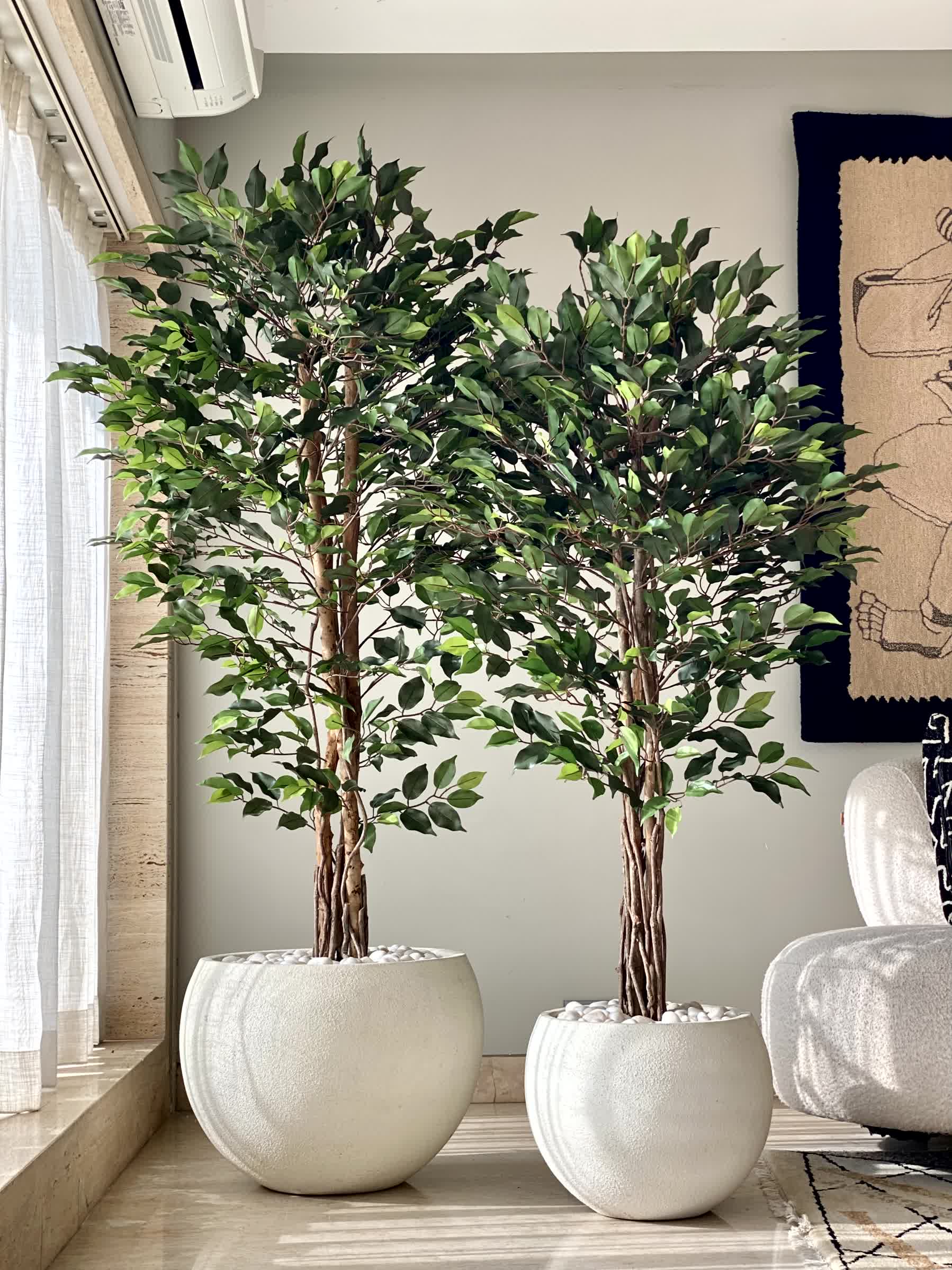 Artificial Natura Ficus Plant - 5 Feet