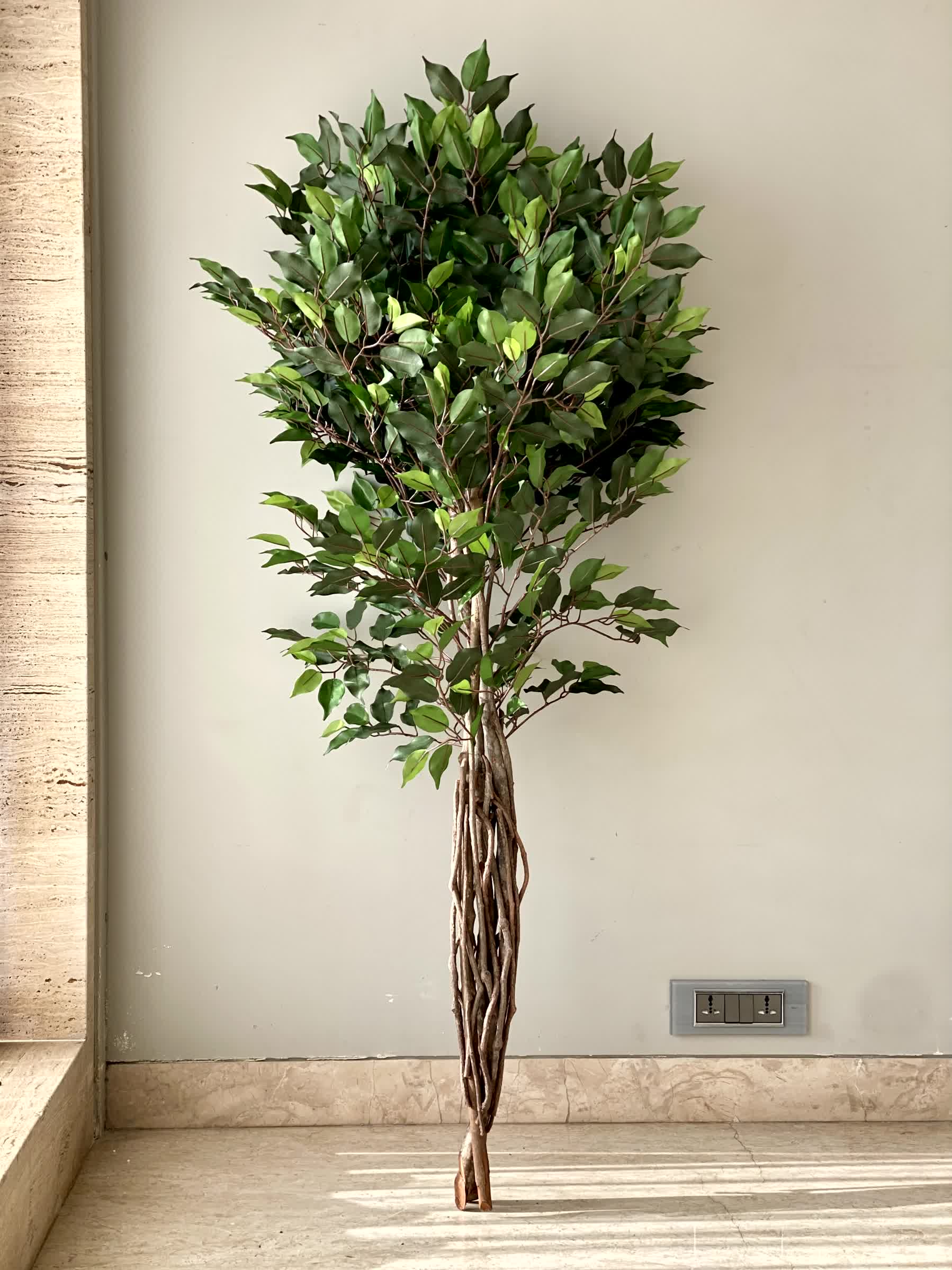 Artificial Natura Ficus Plant - 5 Feet