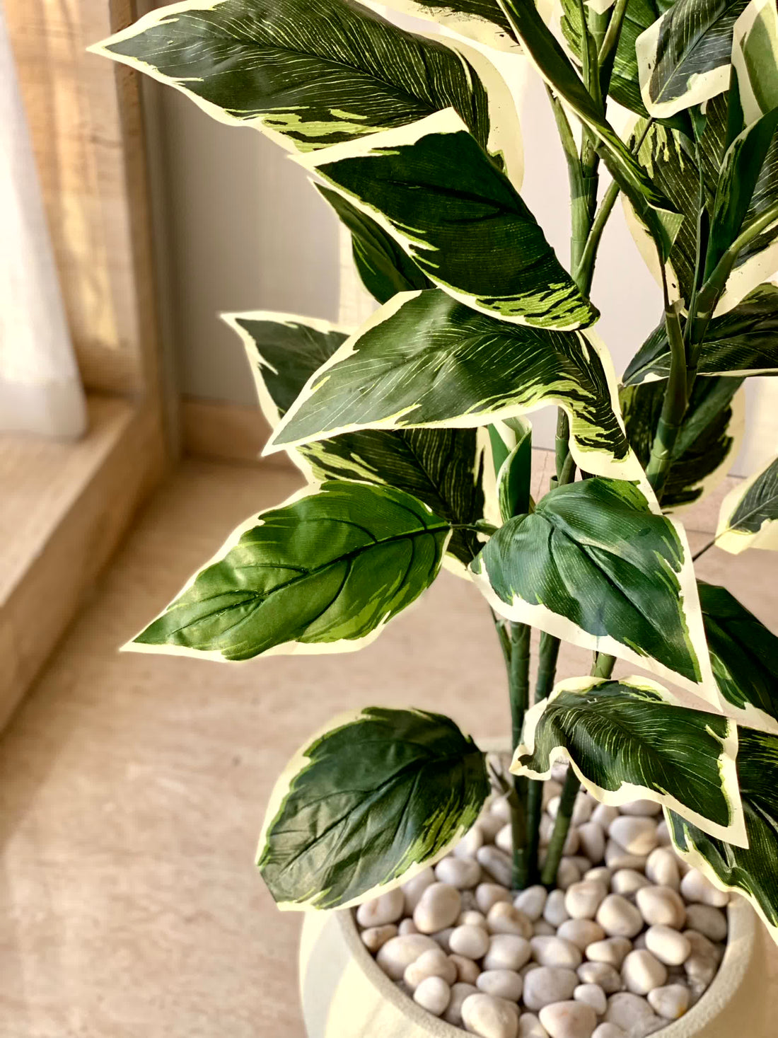 Artificial Hosta Plant - 5 Feet