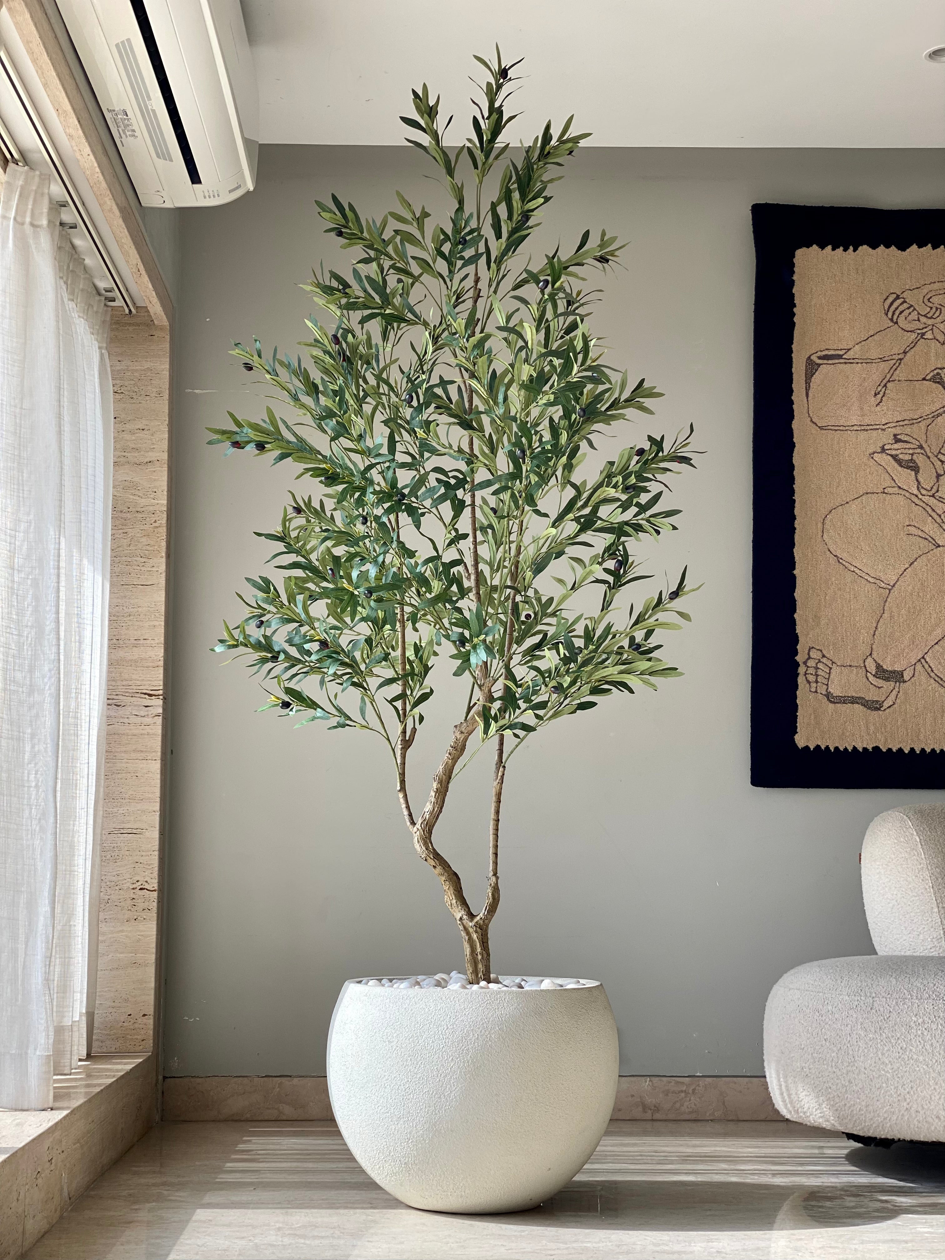 Artificial Olive Serene Plant - 7 Feet