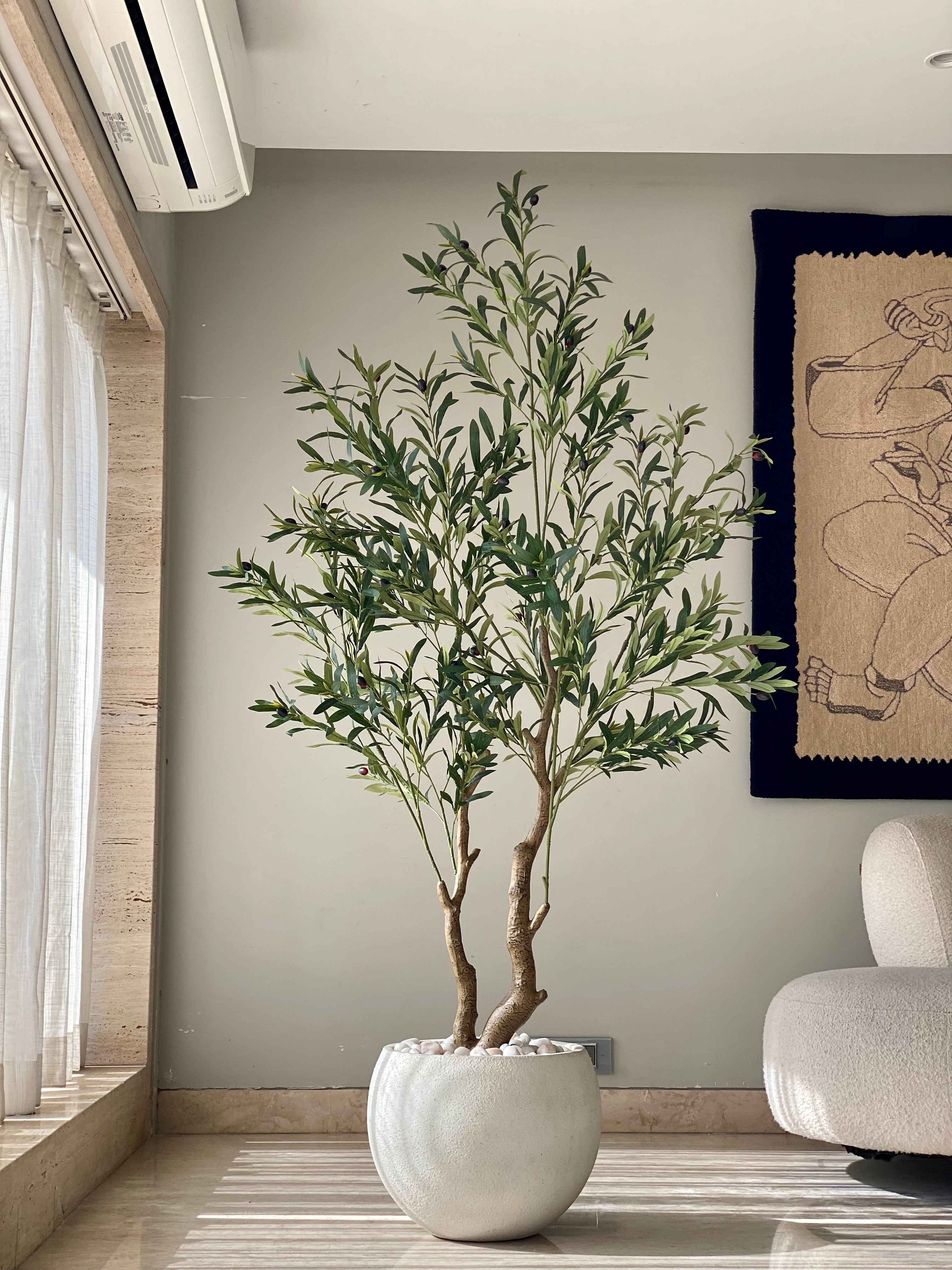 Artificial Olive Serene Plant - 6 Feet