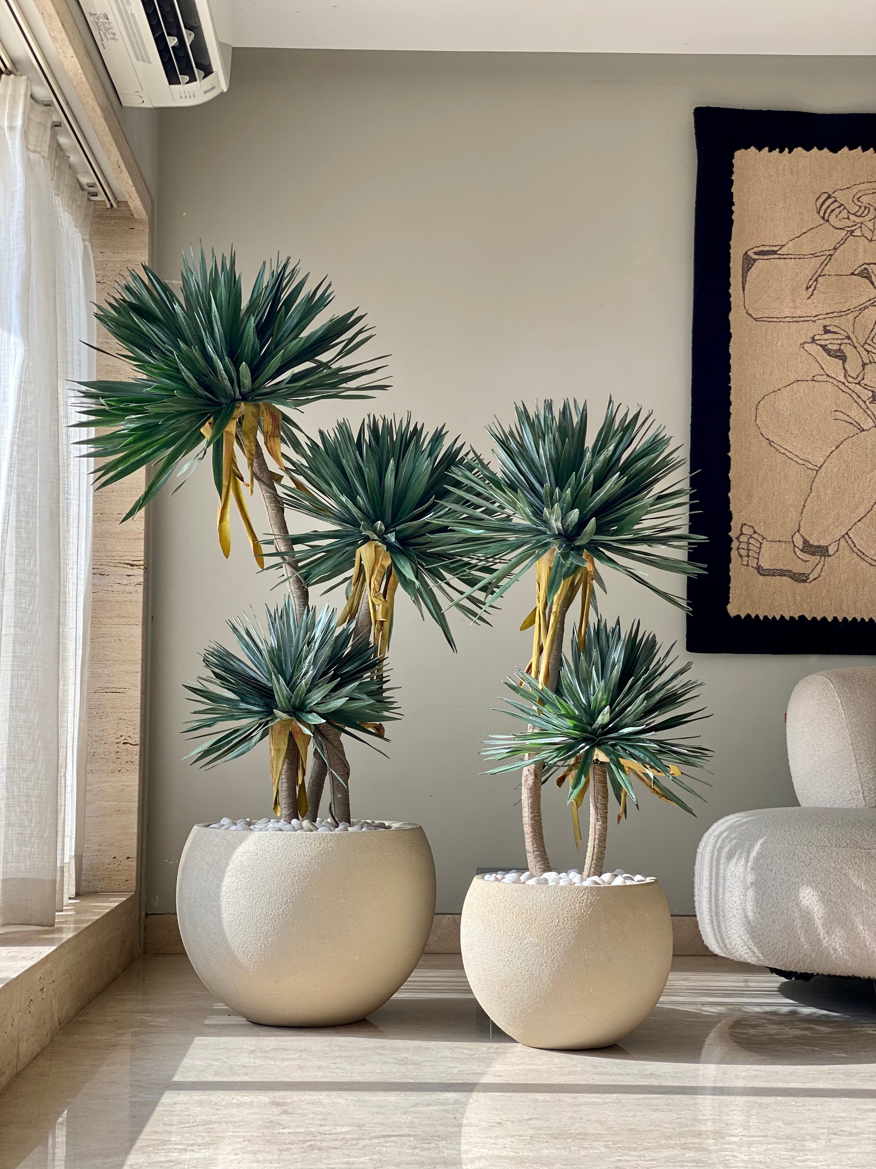 Artificial Sisal Triora Plant - 5 Feet
