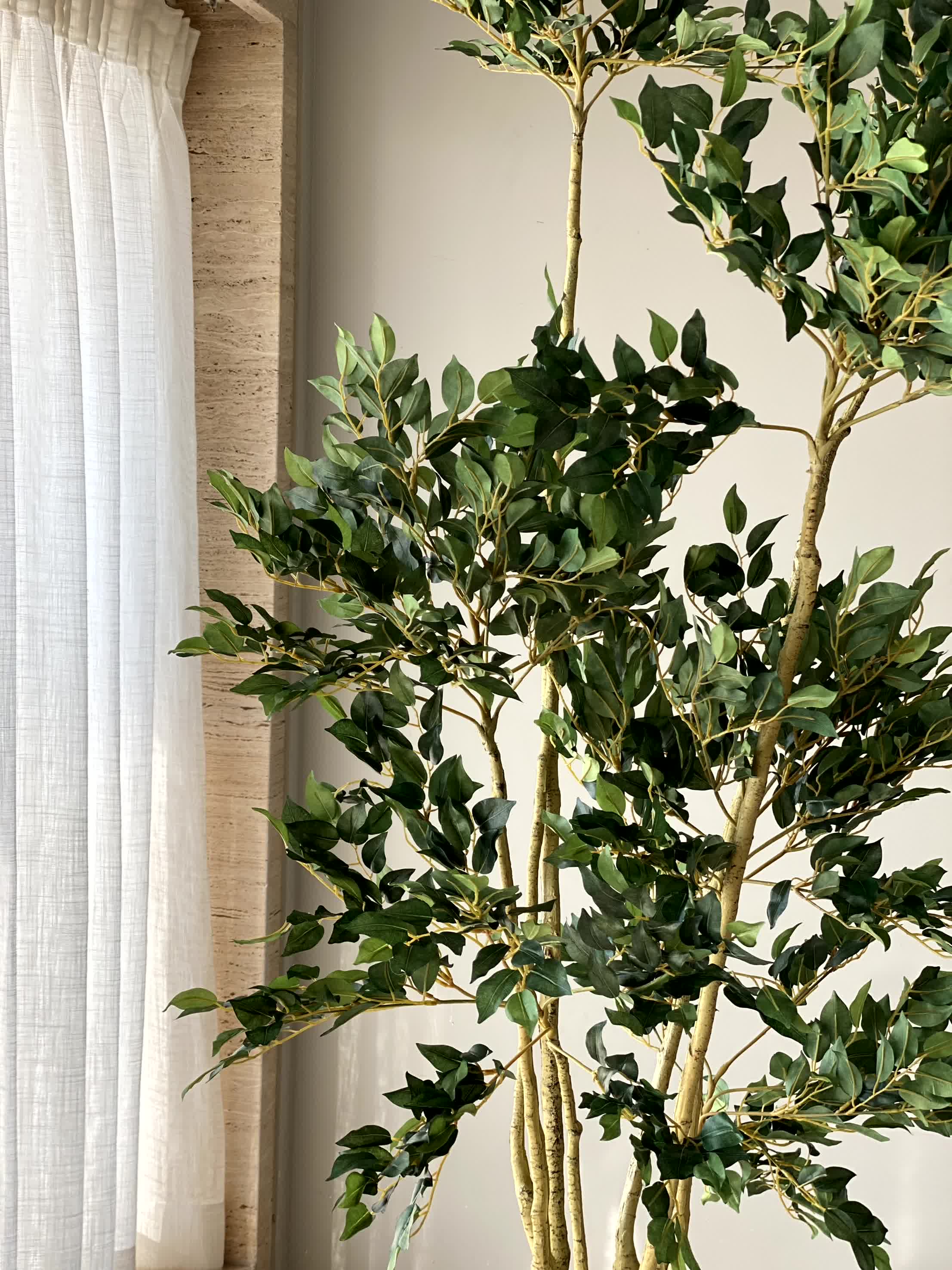 Tropical Ficus Artificial Tall Plant - 6.5 Feet