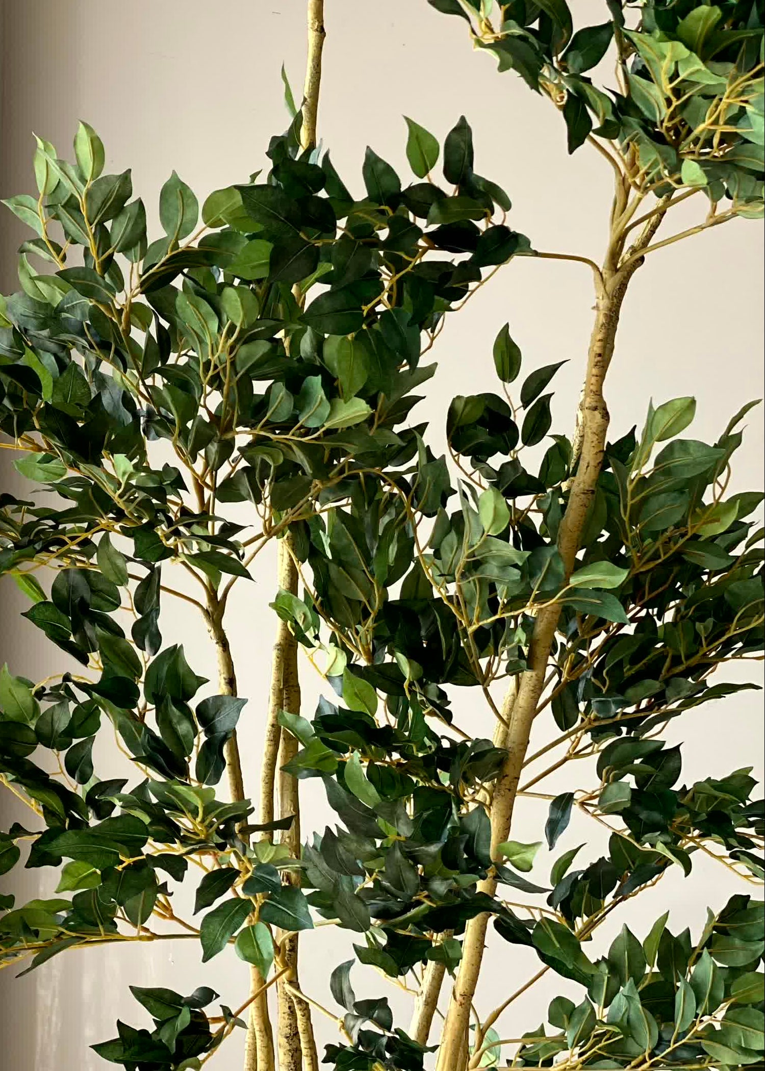 Tropical Ficus Artificial Tall Plant - 6.5 Feet