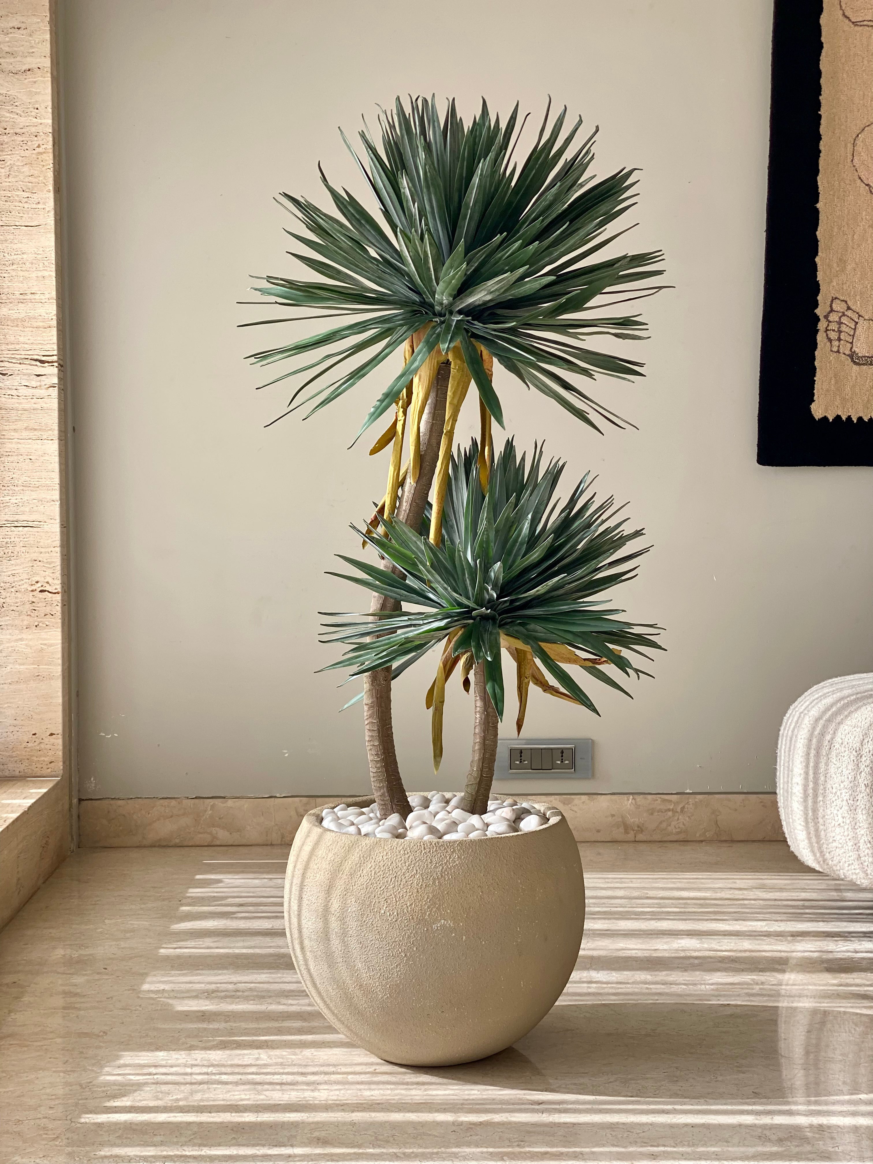 Artificial Sisal Duo Plant - 4 Feet