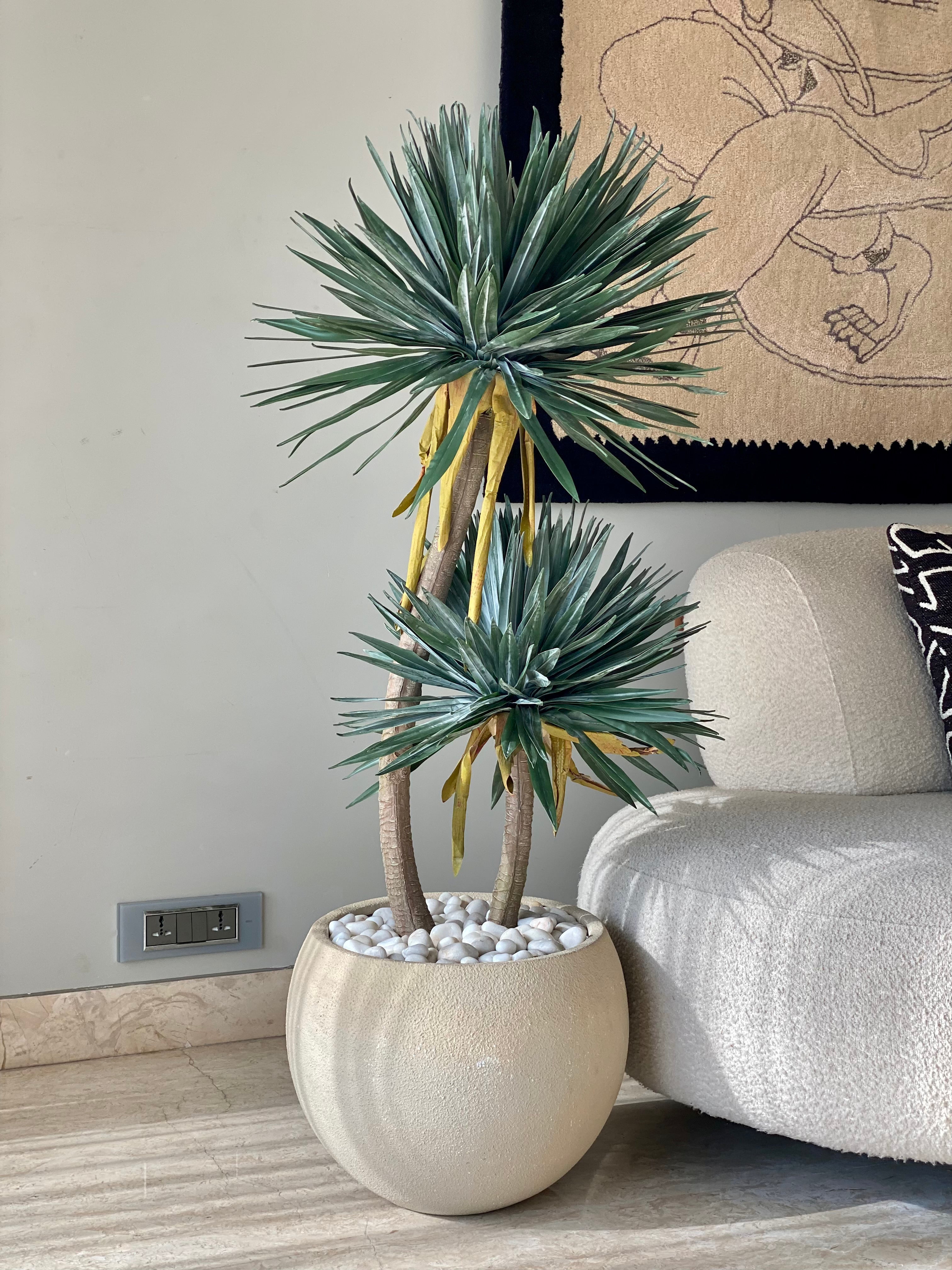 Artificial Sisal Duo Plant - 4 Feet