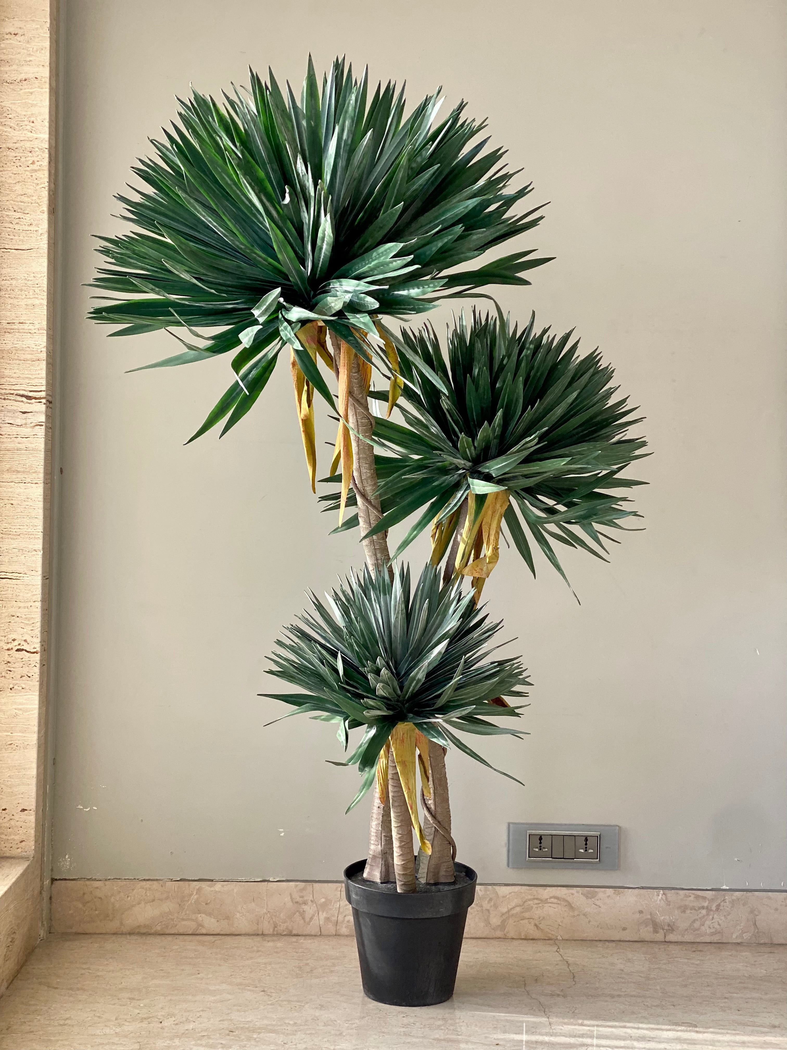 Artificial Sisal Triora Plant - 5 Feet