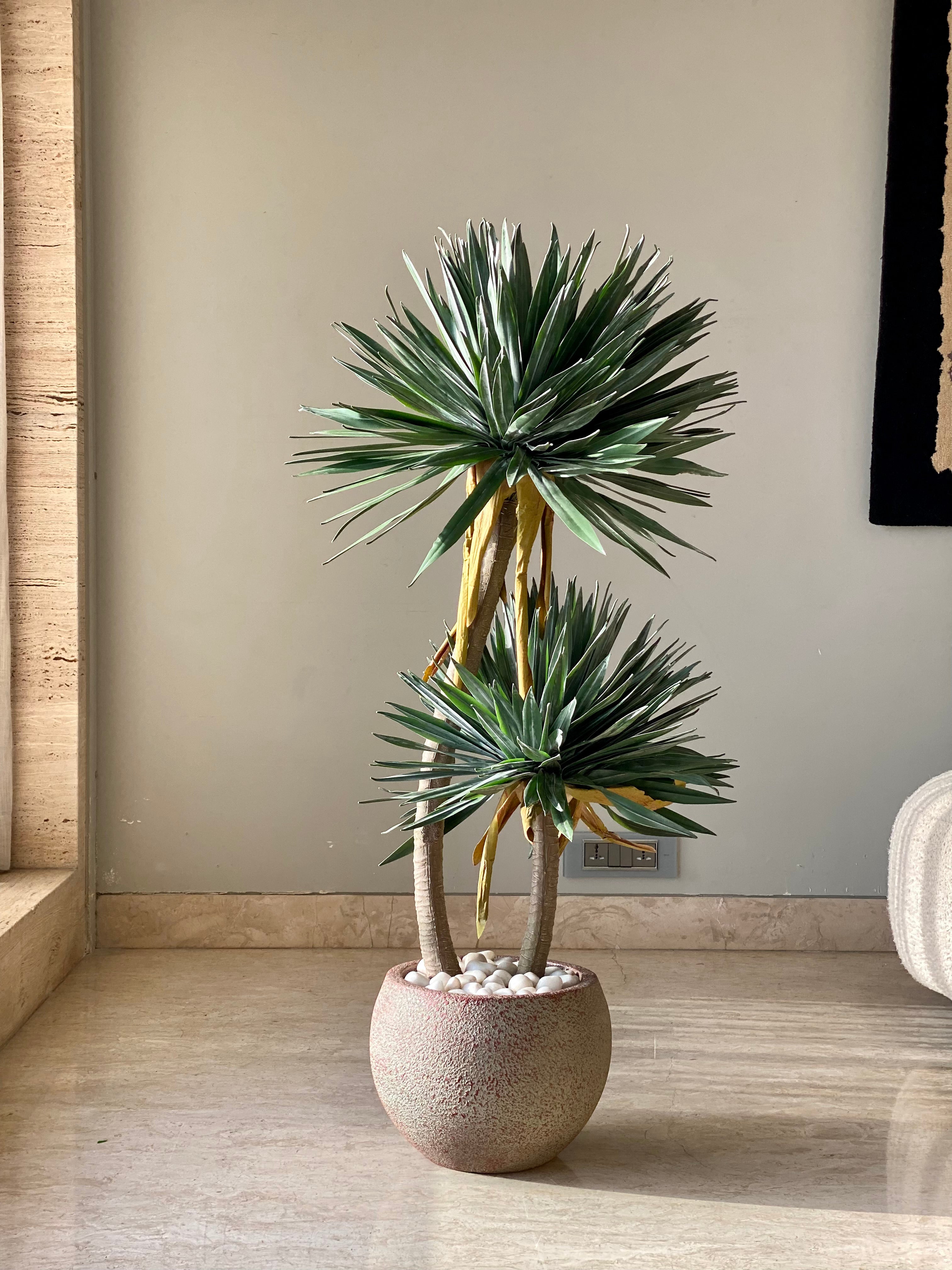 Artificial Sisal Duo Plant - 4 Feet