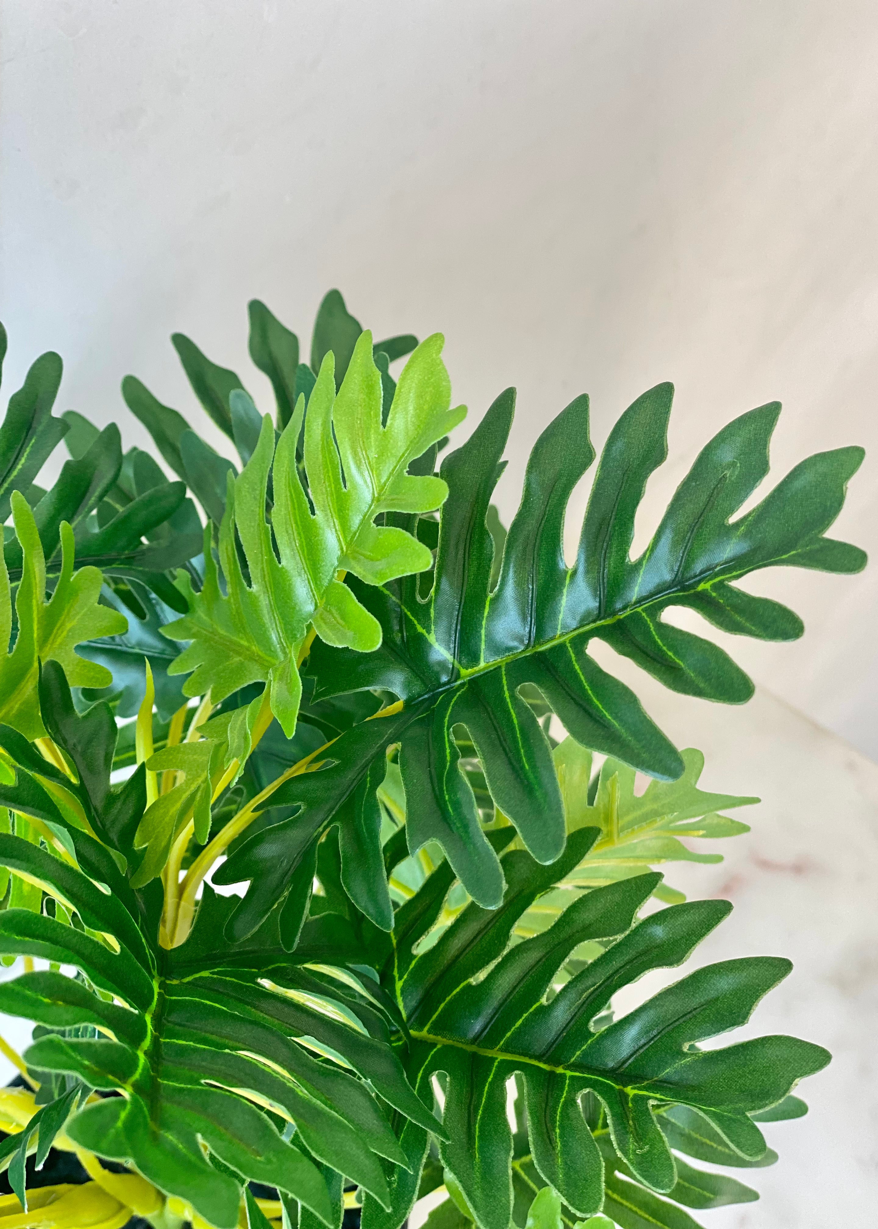 Artificial Bachia Schefflera Plant - 1 Feet