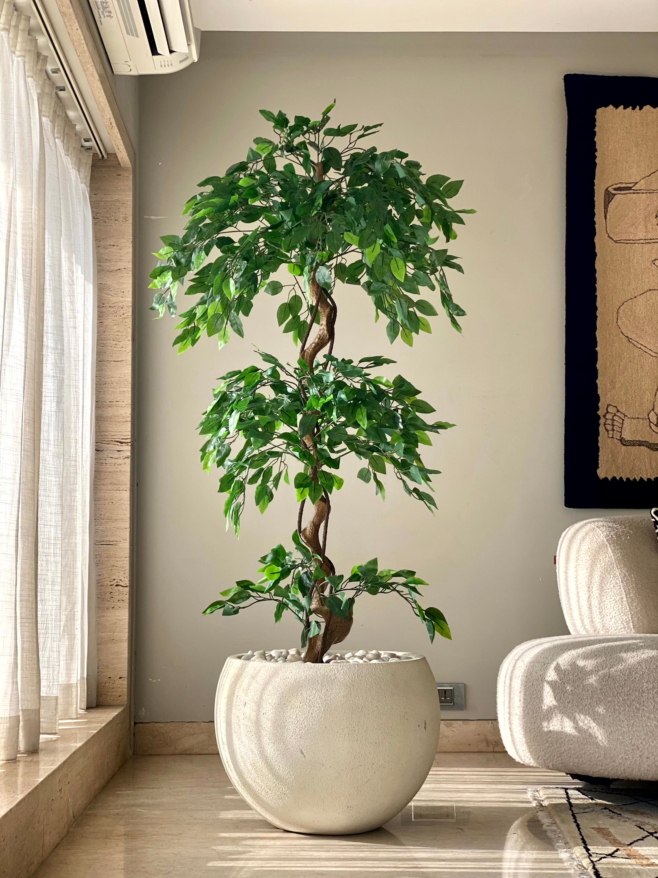 Artificial Cascading Ficus Topiary Plant - 6 Feet