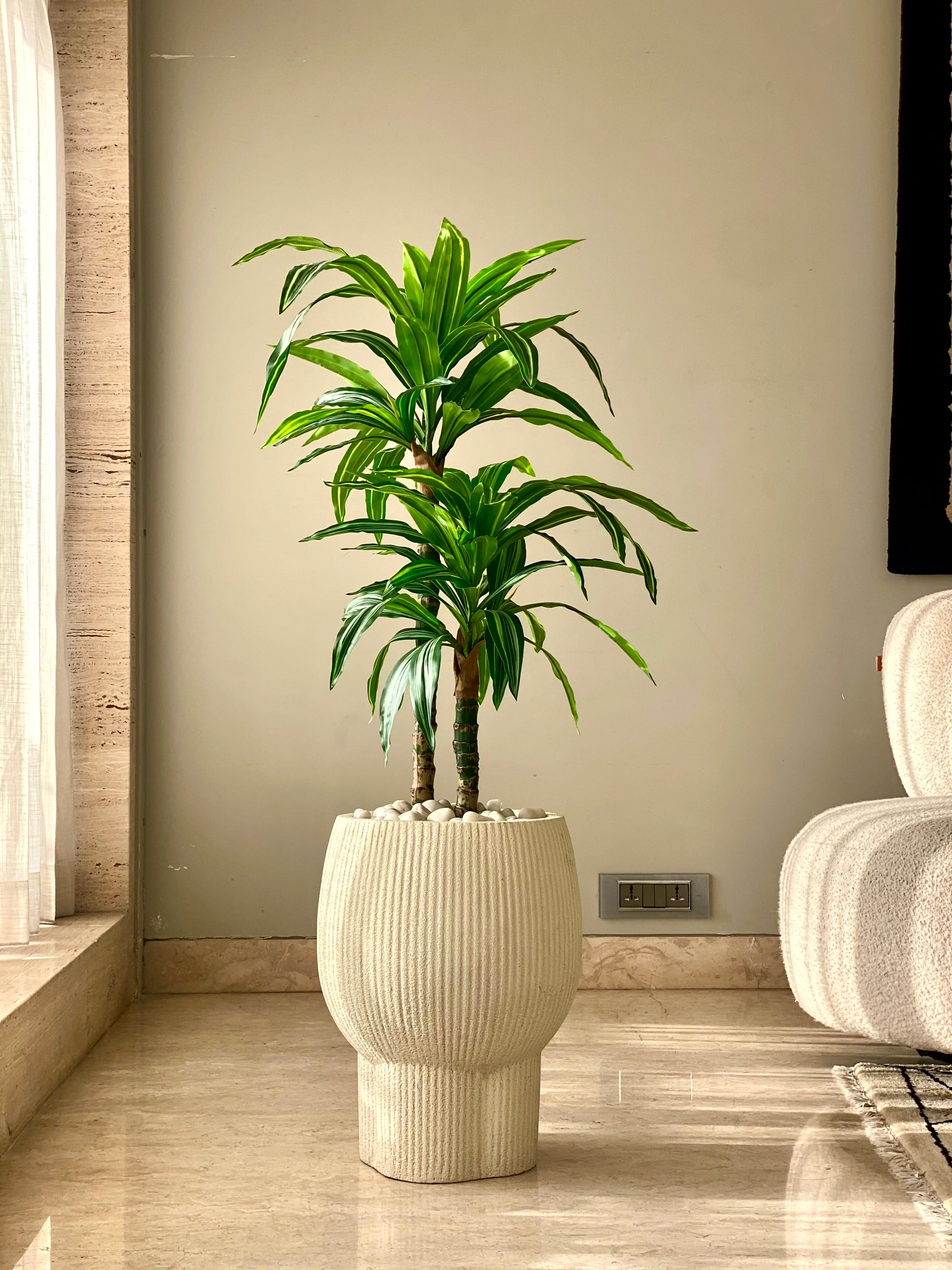 Artificial Layered Dracaena Plant - 3.3 Feet