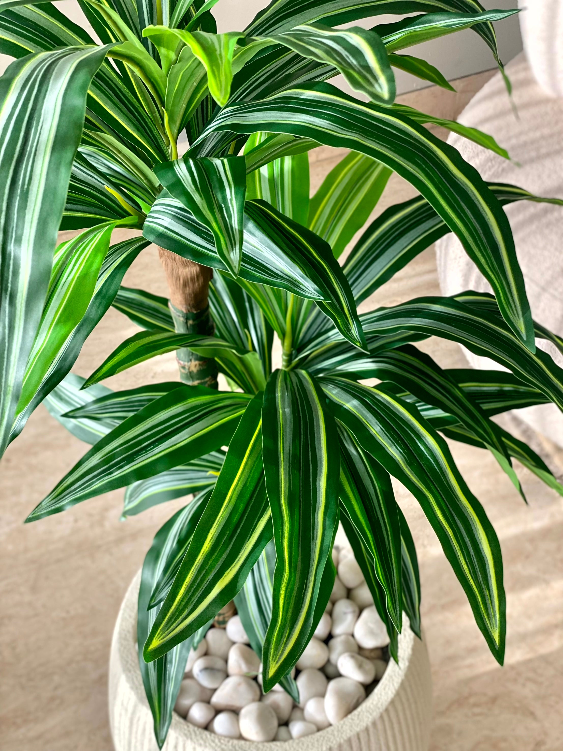 Artificial Layered Dracaena Plant - 3.3 Feet