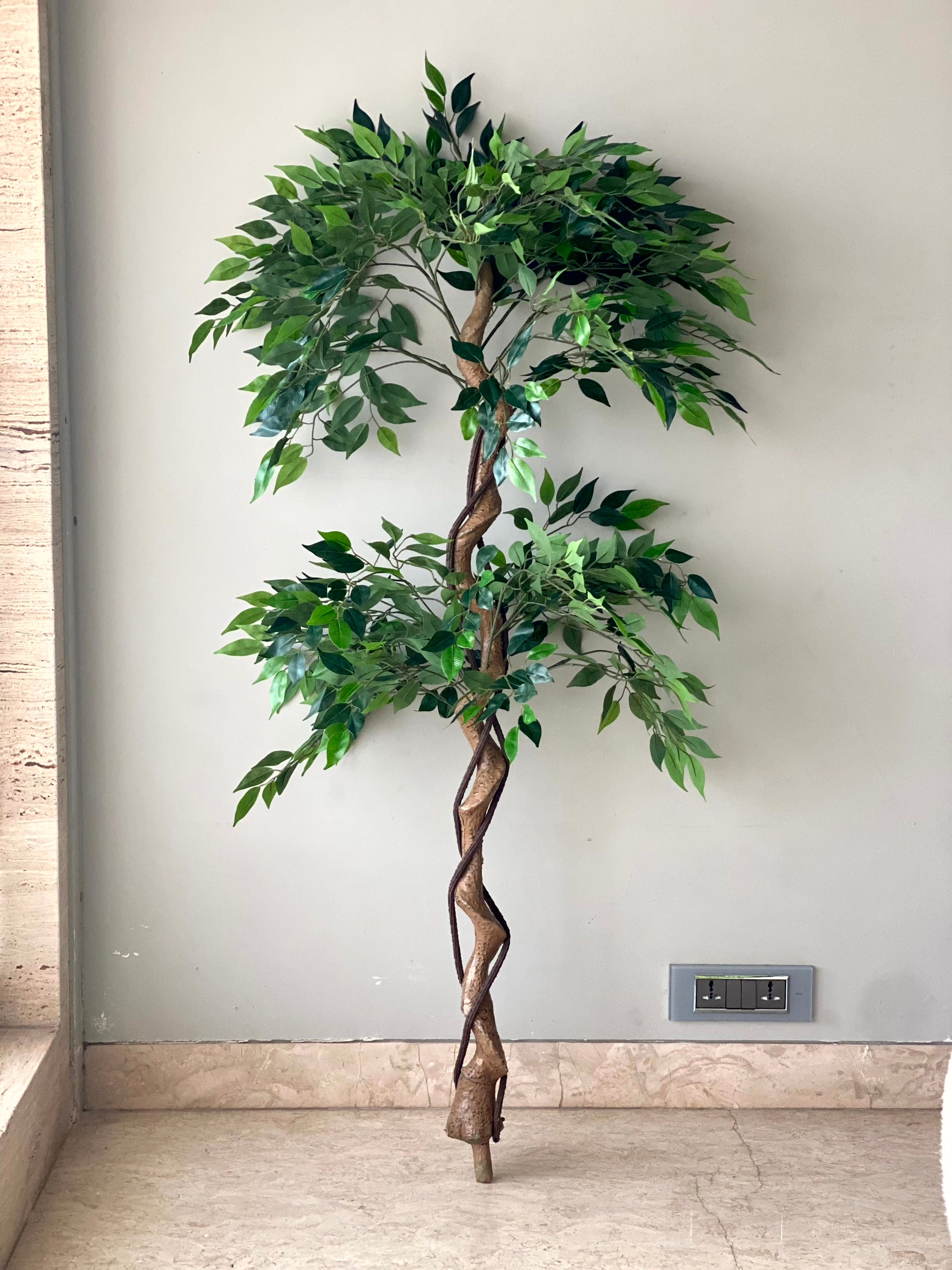 Artificial Cascading Ficus Topiary Plant - 5 Feet
