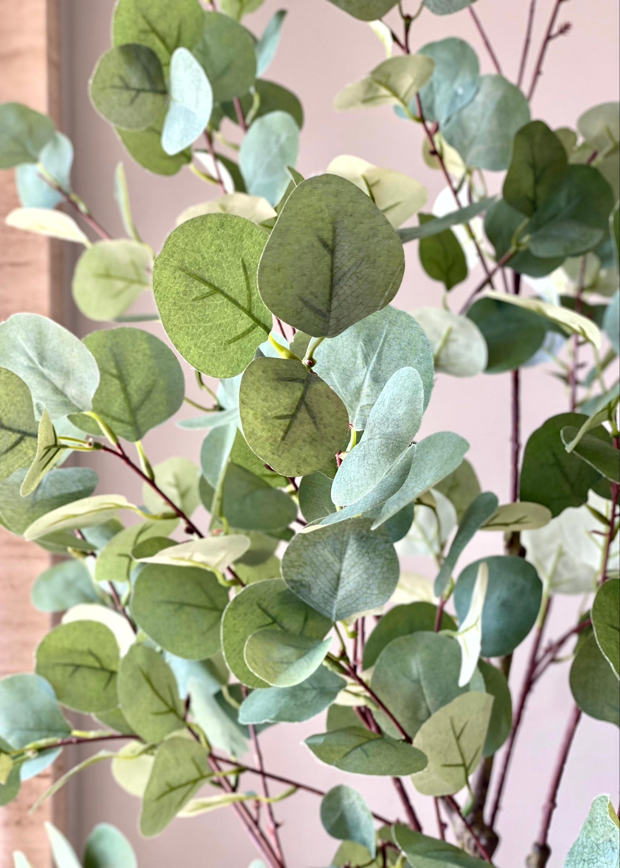 Artificial Eucalyptus Plant - 4 Feet