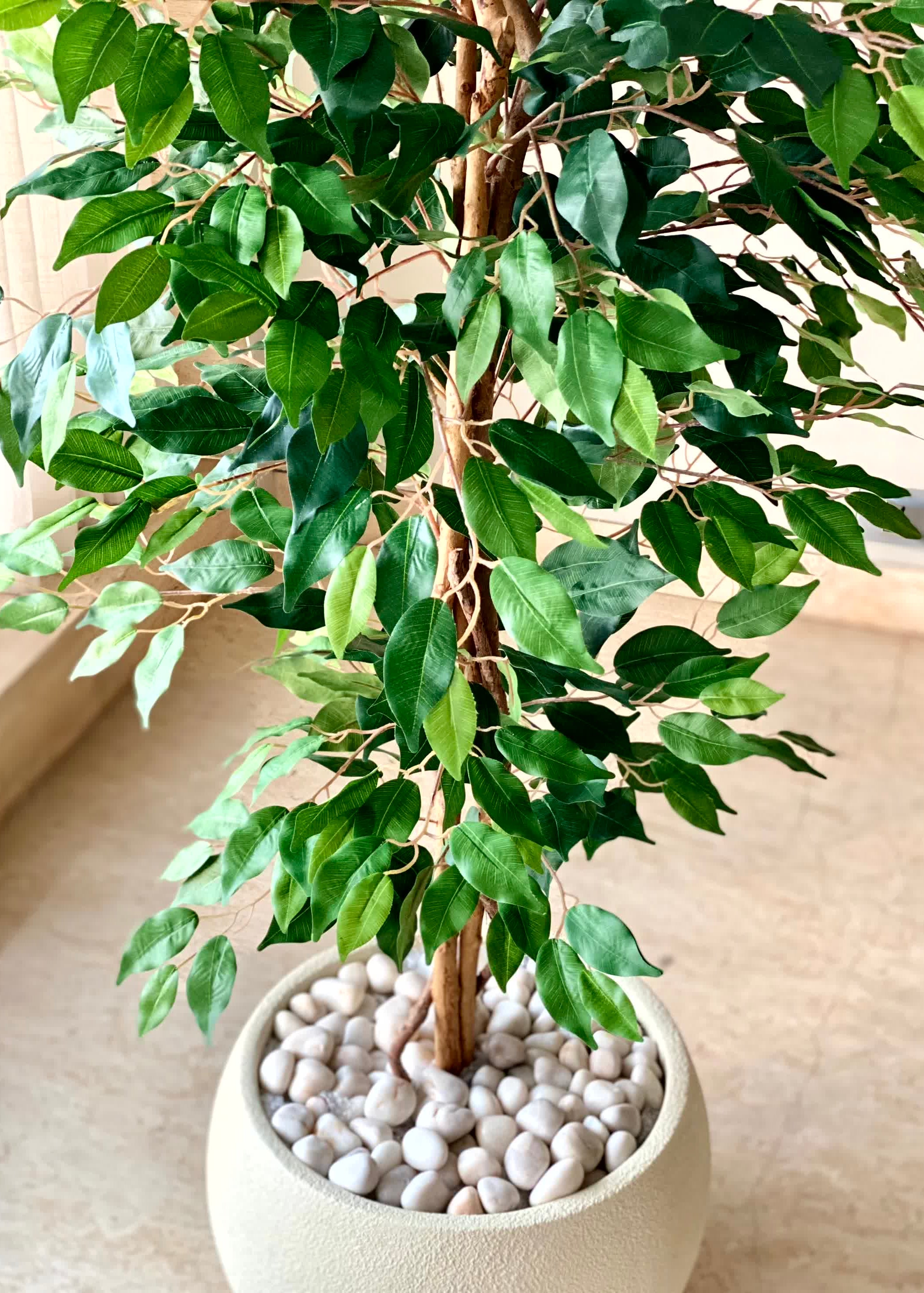 Artificial Weeping Ficus Plant - 5 Feet