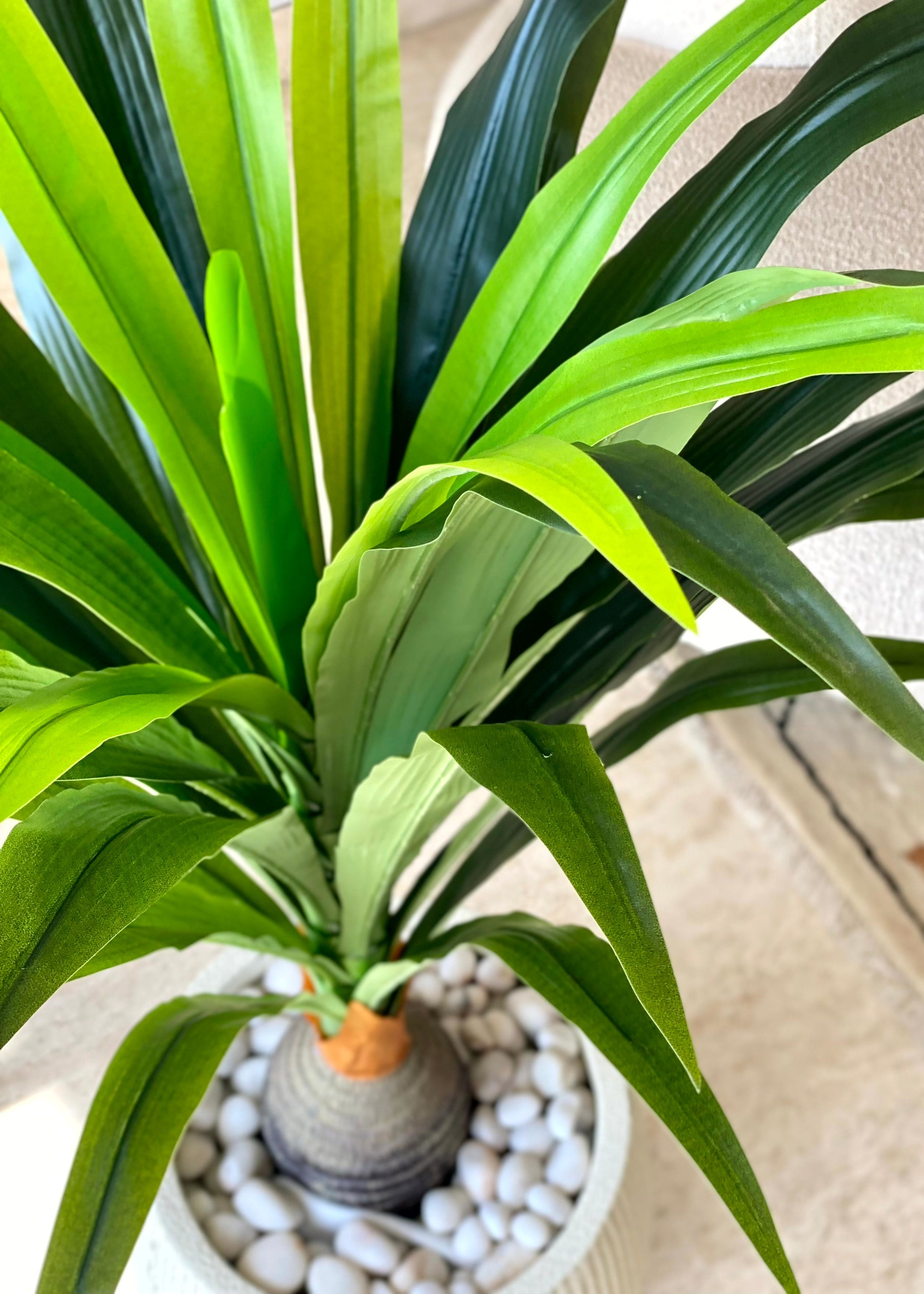 Artificial Bottel Dracenna Plant - 4 Feet
