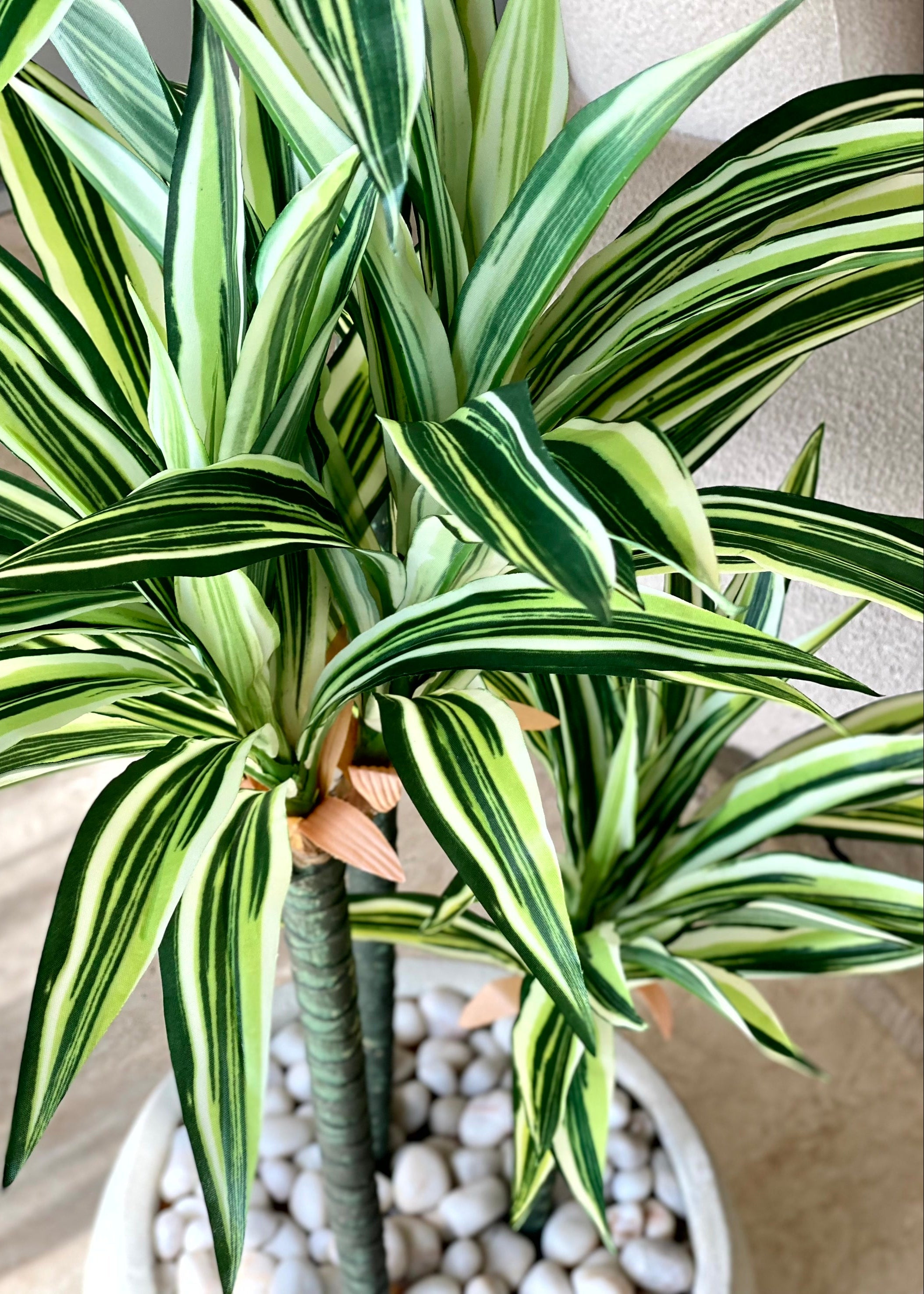 Artificial Natura Dracaena Plant - 5 Feet