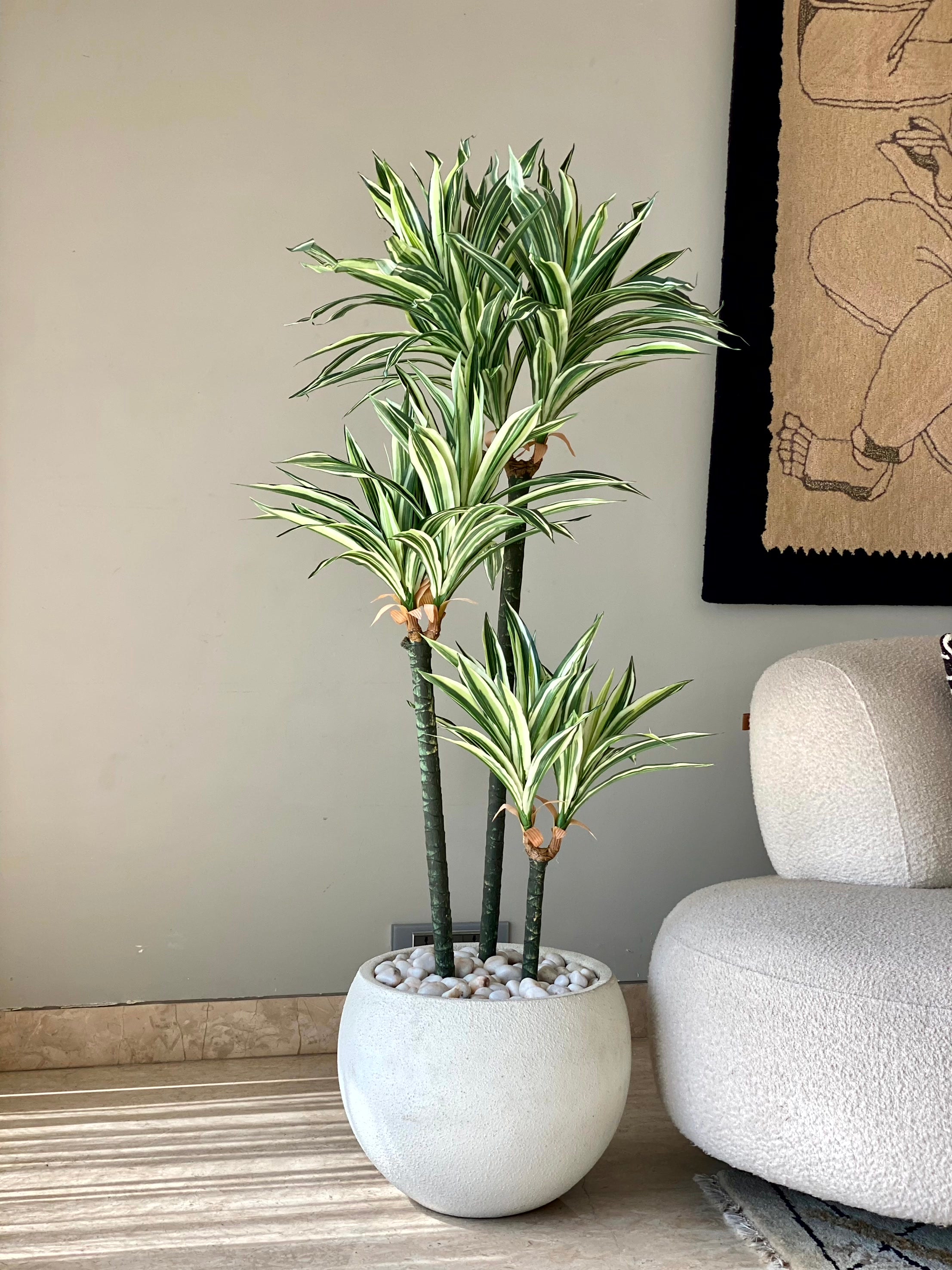 Artificial Natura Dracaena Plant - 5 Feet
