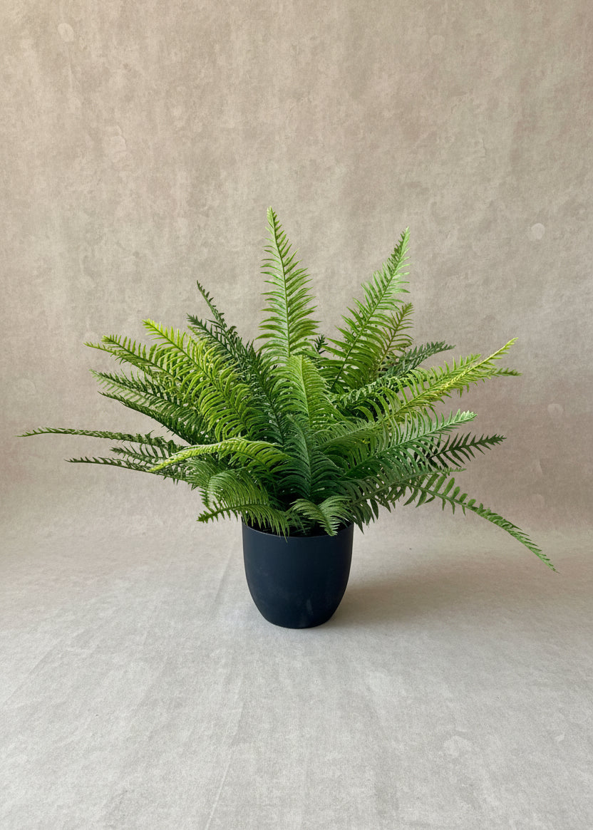 Artificial Tropical Fern Plant - 2 Feet