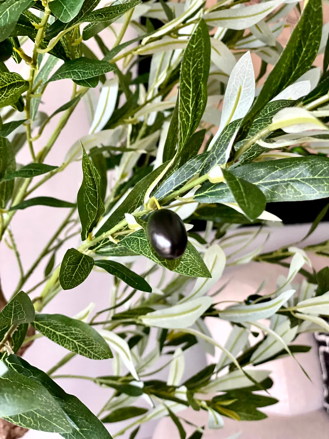 Artificial Evergreen Olive Plant - 6.5 Feet