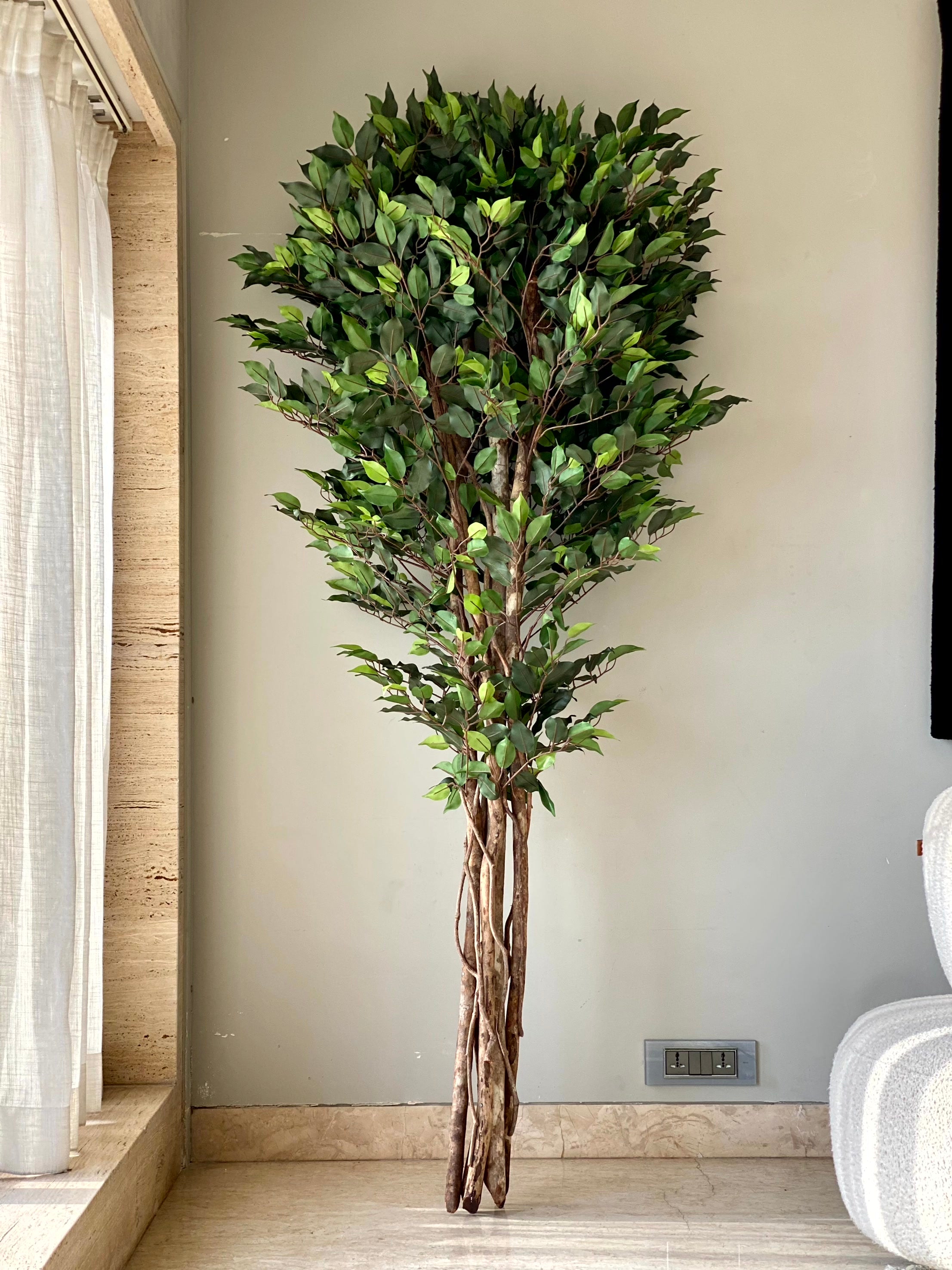 Artificial Natura Ficus Plant - 7 Feet