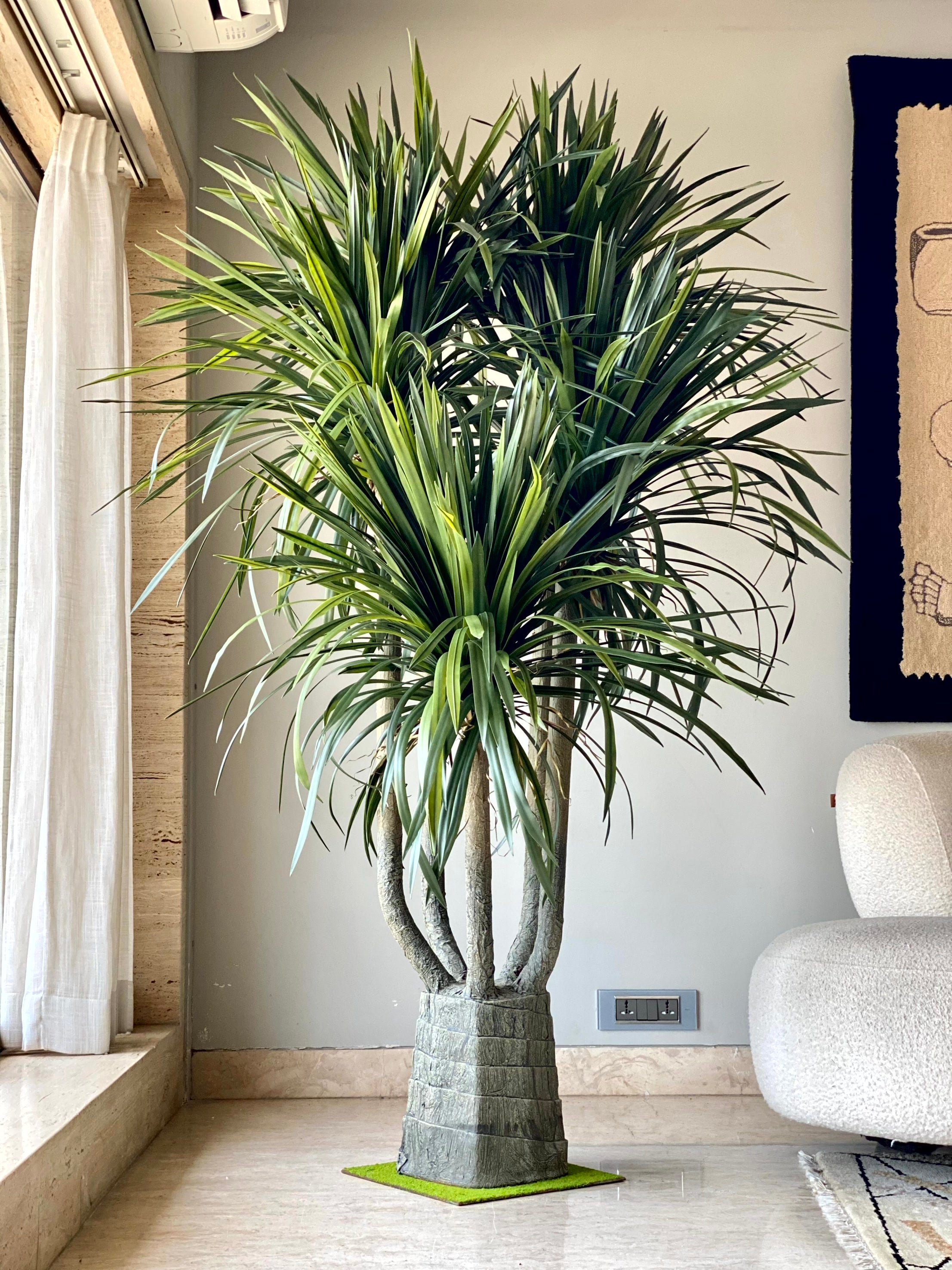 Artificial Dragon Quintara Plant - 7 Feet
