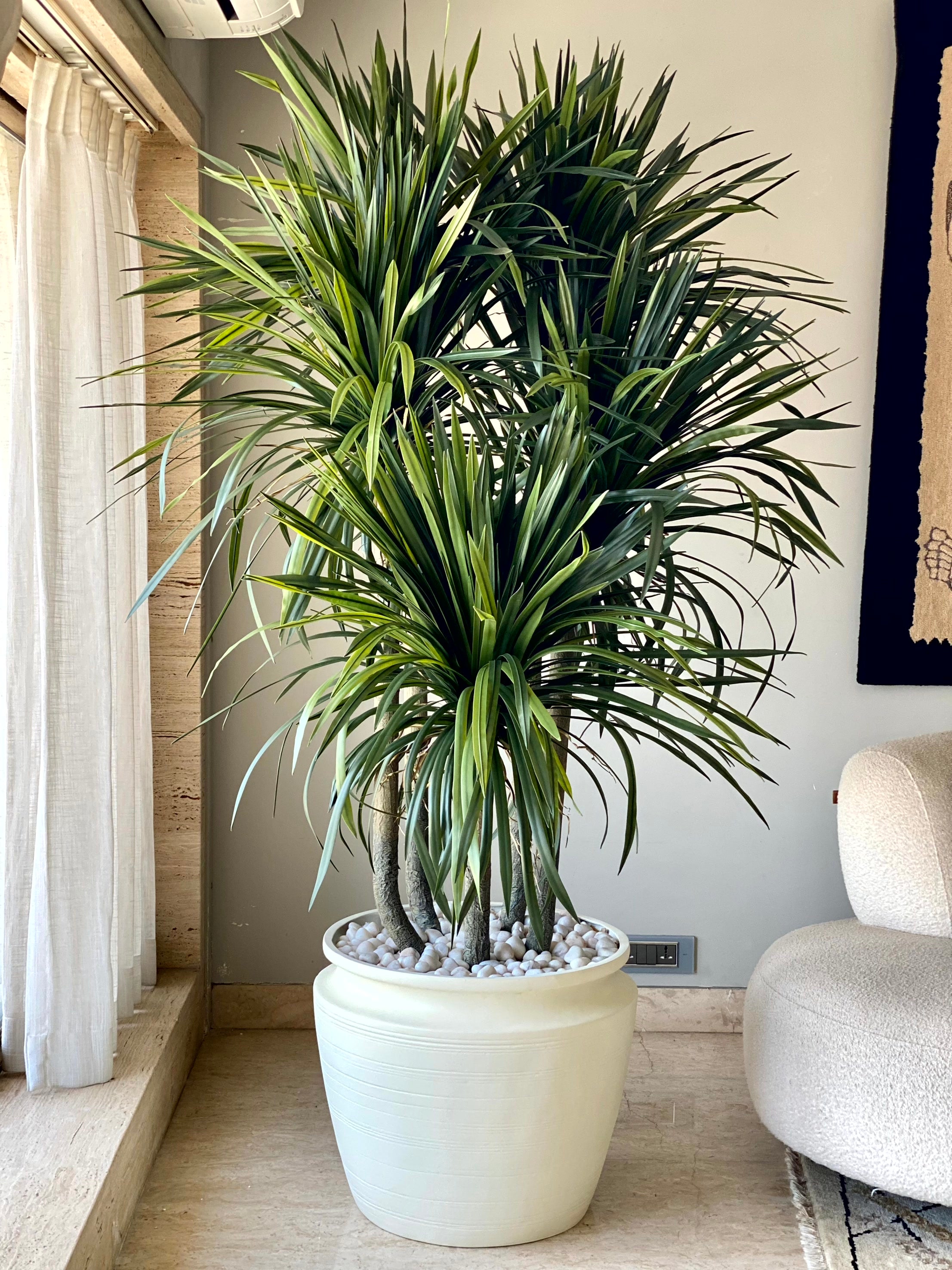 Artificial Dragon Quintara Plant - 7 Feet