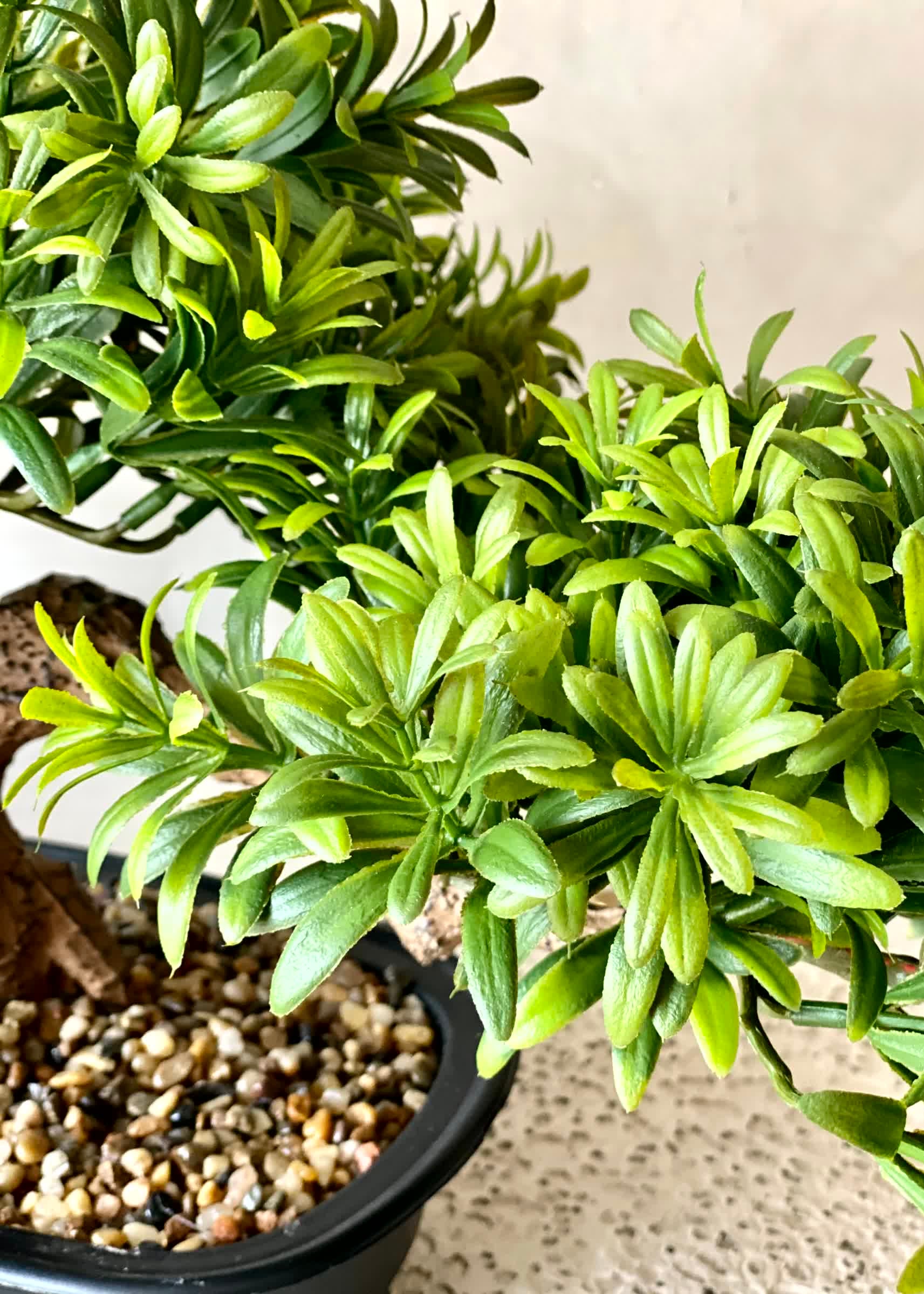 Artificial Pine Bonsai Plant - Medium