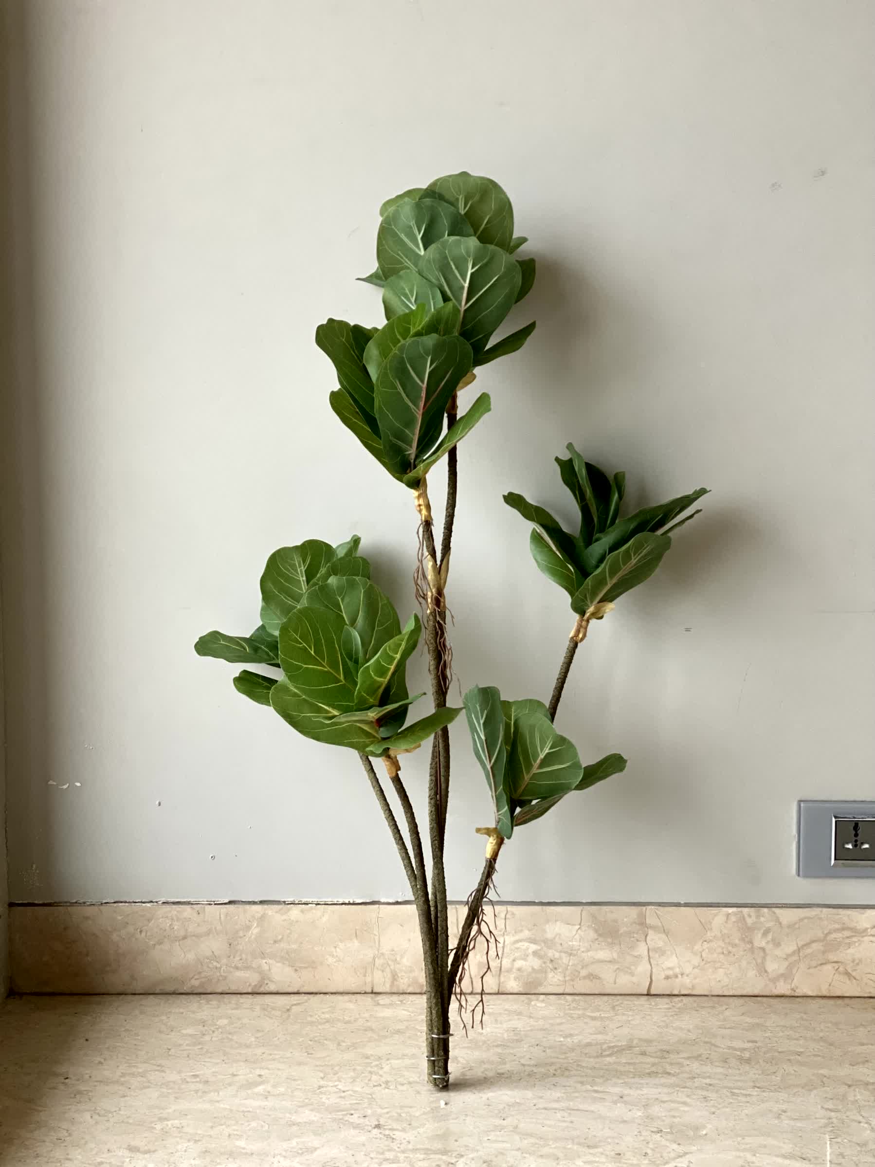 Artificial Fiddle Fig Plant - 3 Feet